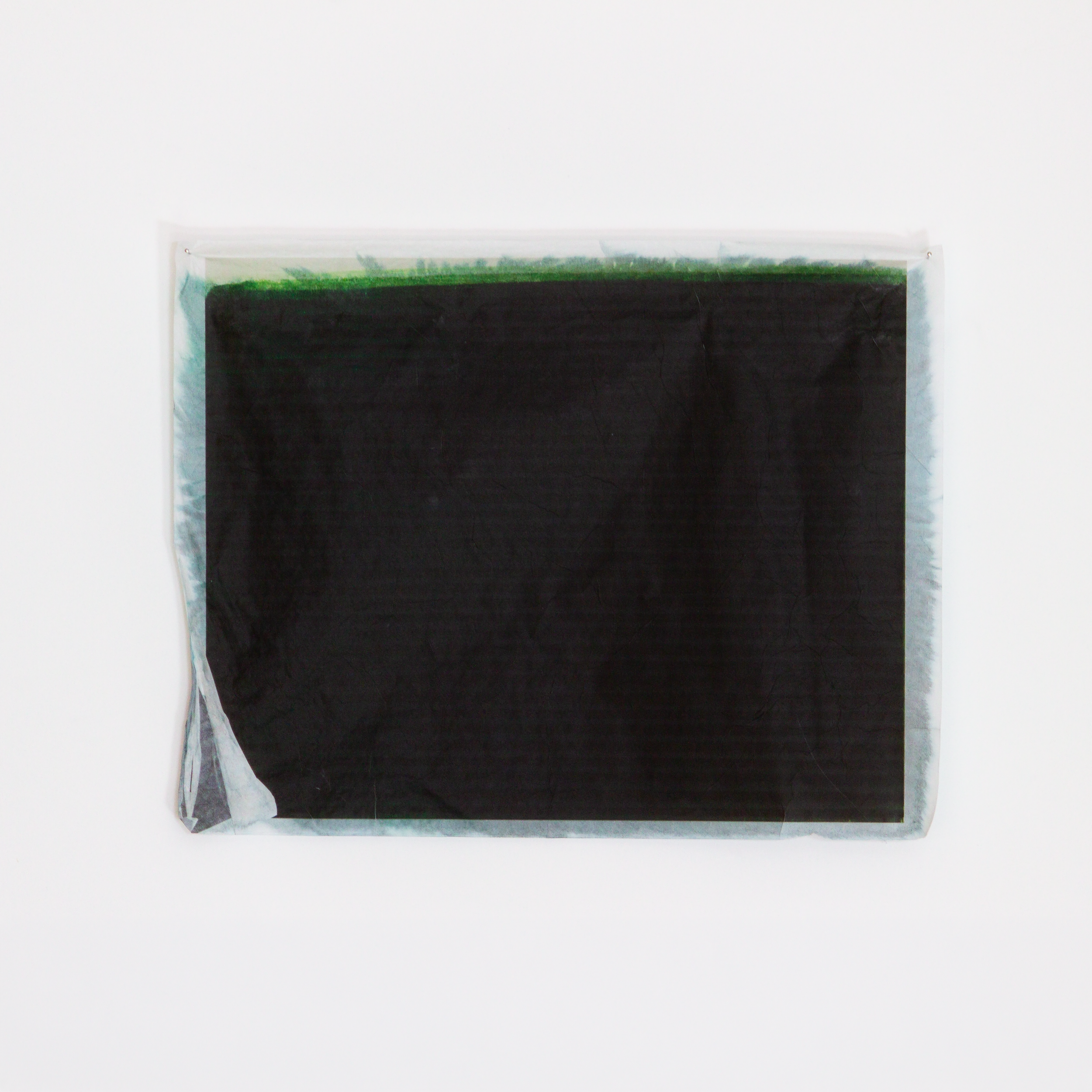 IMG_2940-reduced.png