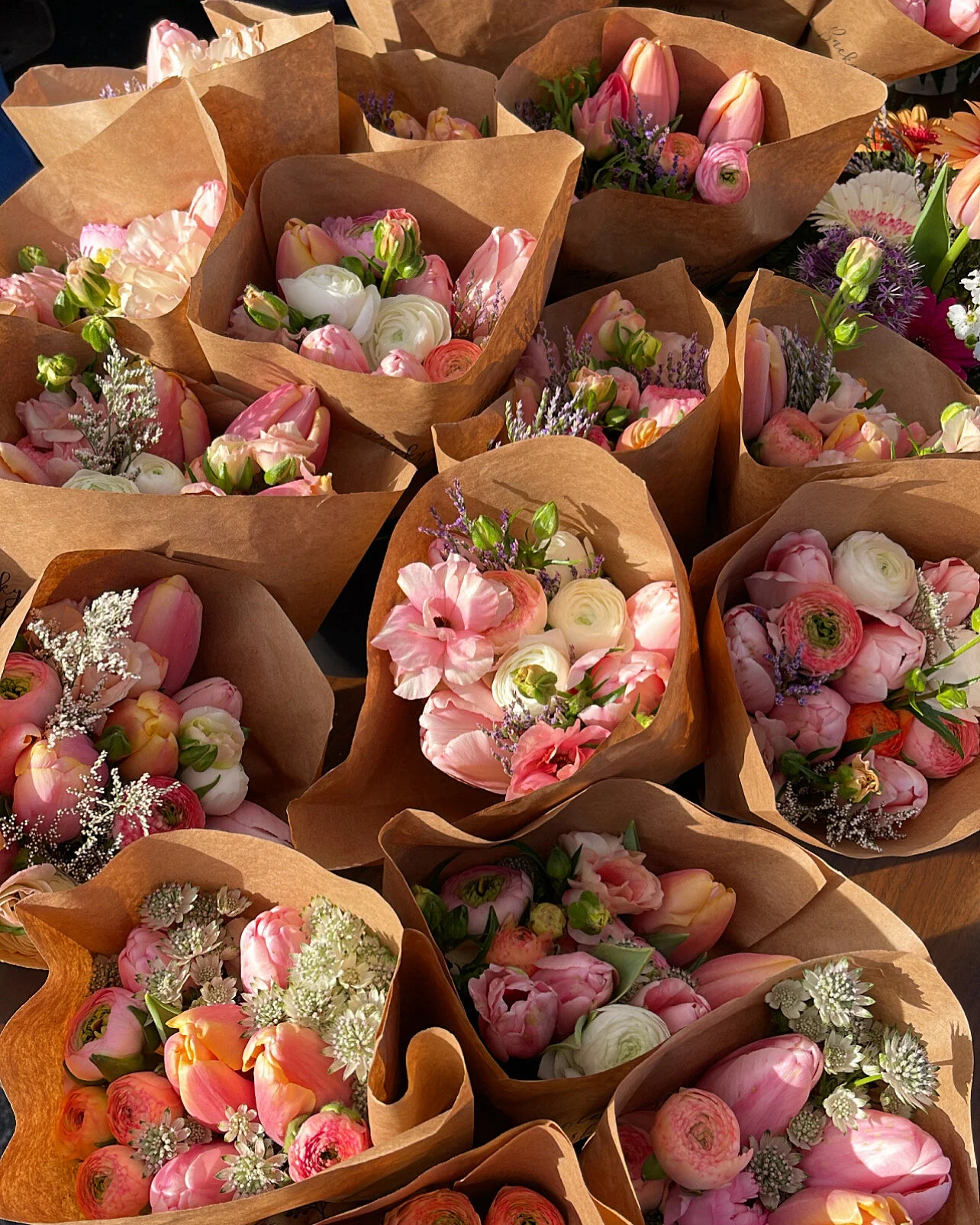 F9EE3A01-052E-4629-93BB-CAE406B80B02