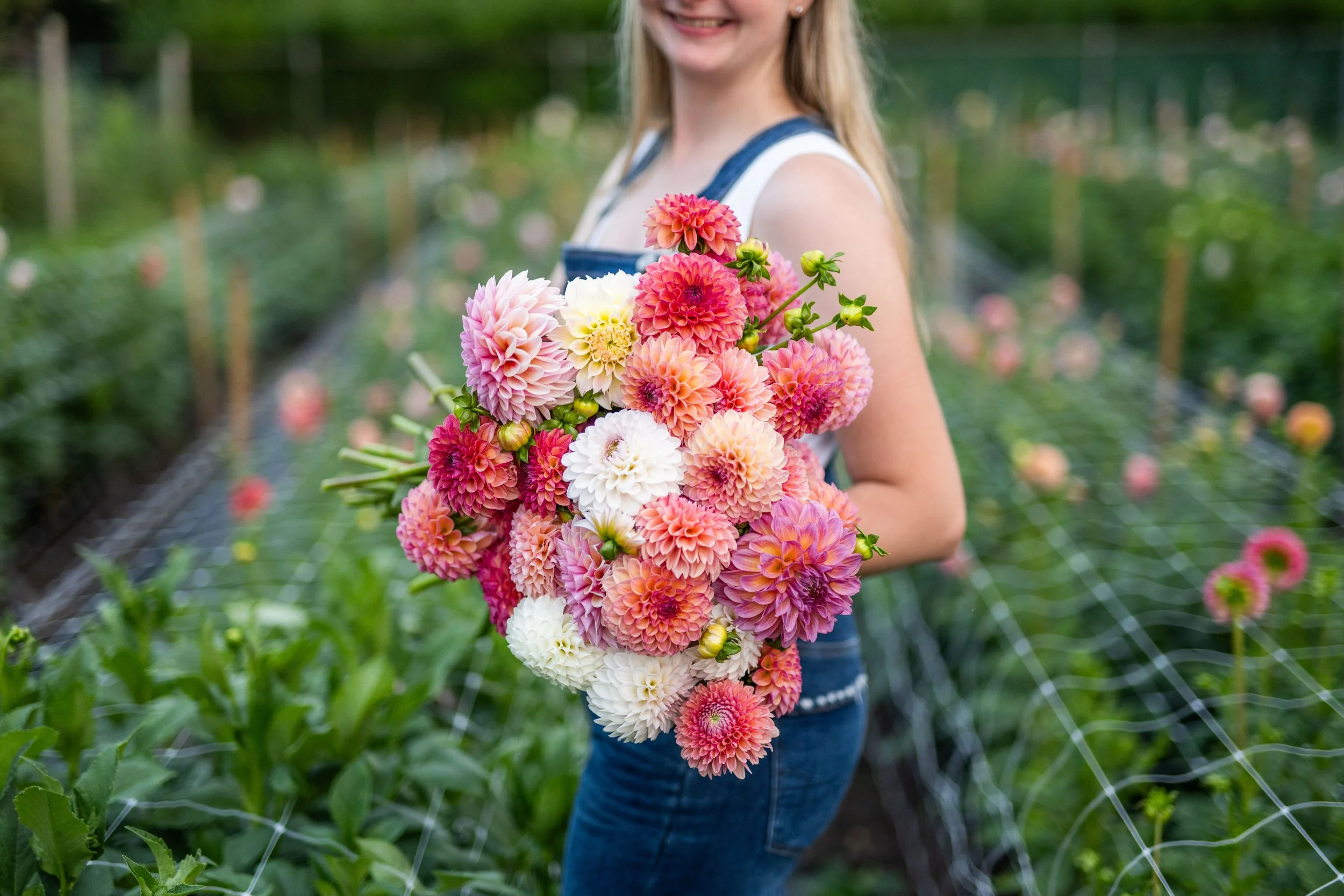 farmers market, dahlias, local flowers, hamptons, best northfork florist, wedding florist