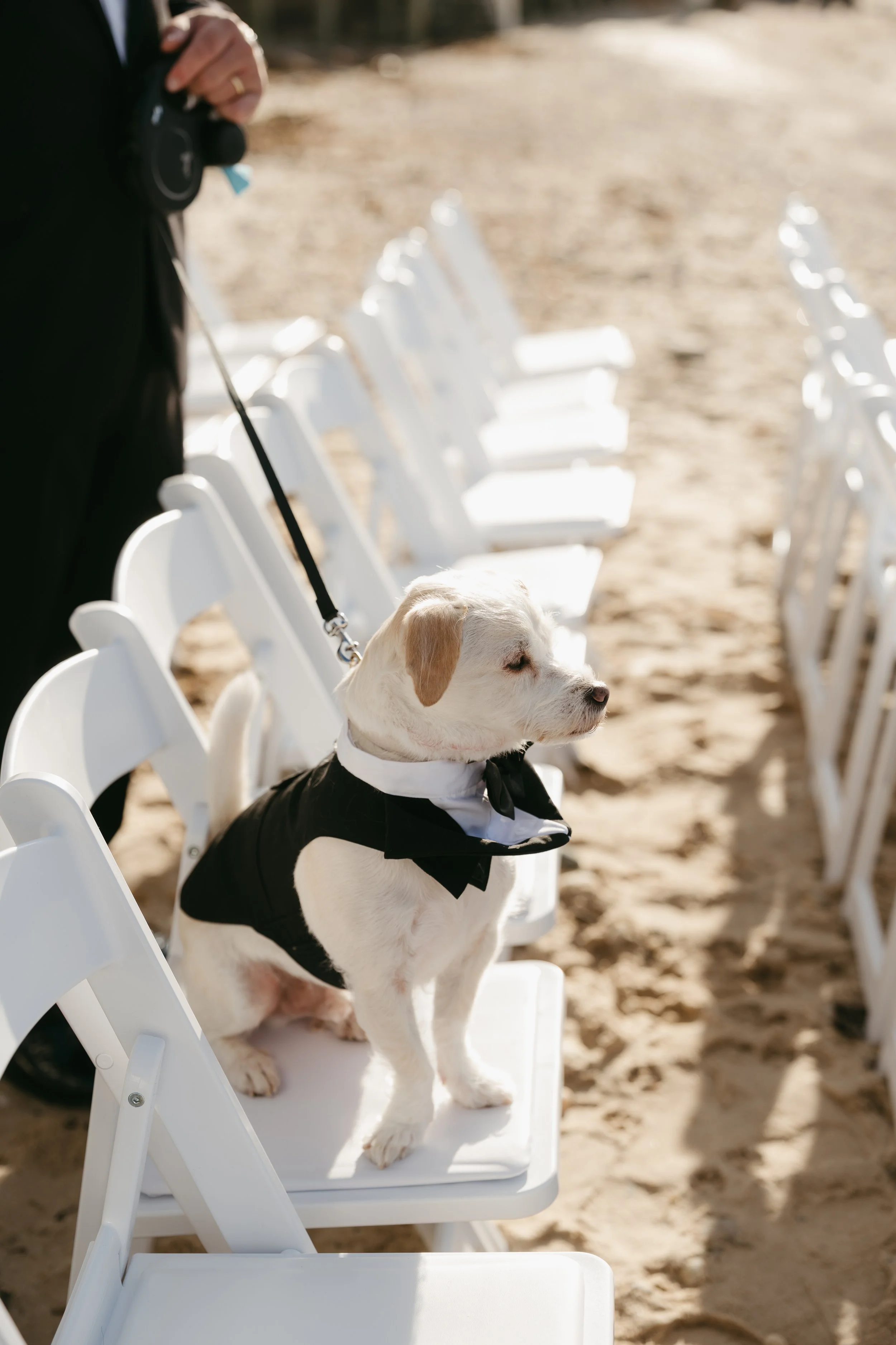 michelle-ty-wedding-712.jpg