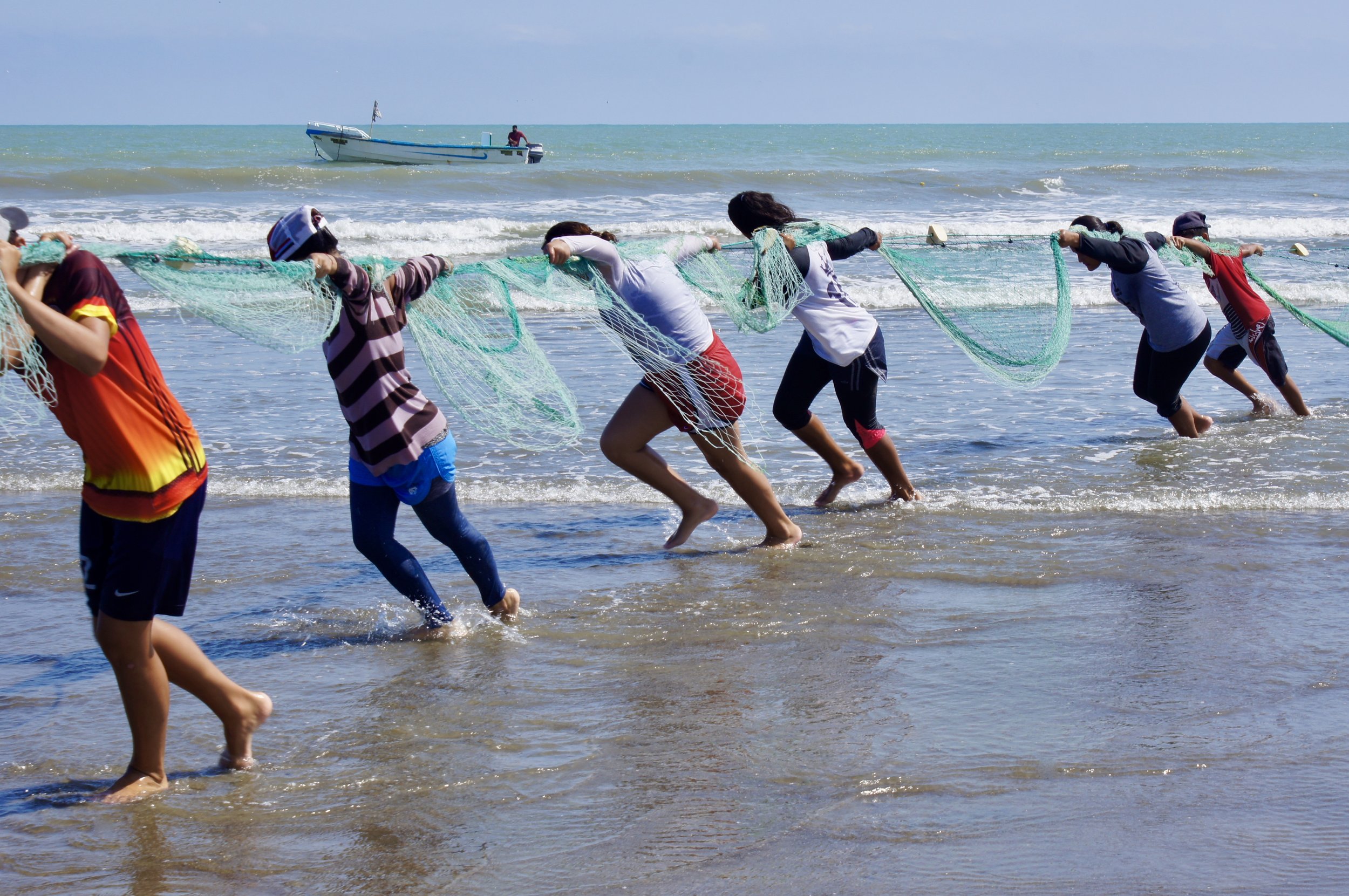 Fishermen bringing in the net