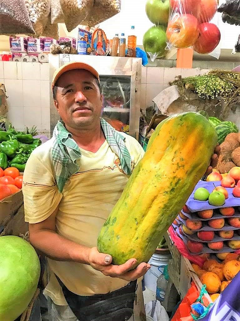 Papaya (Jama)