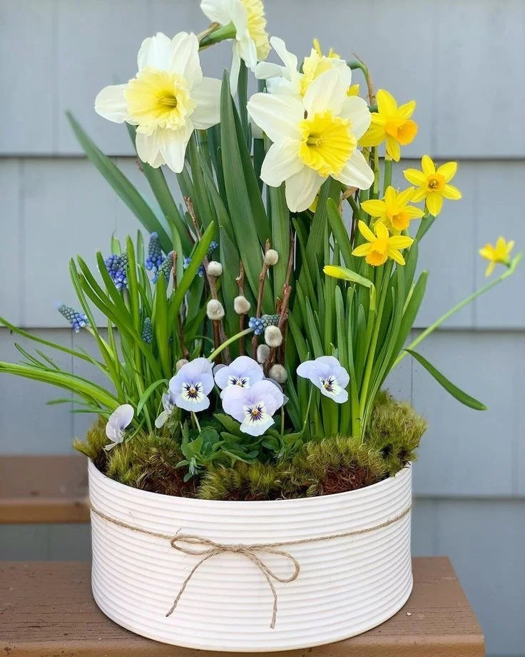 Spring Planter