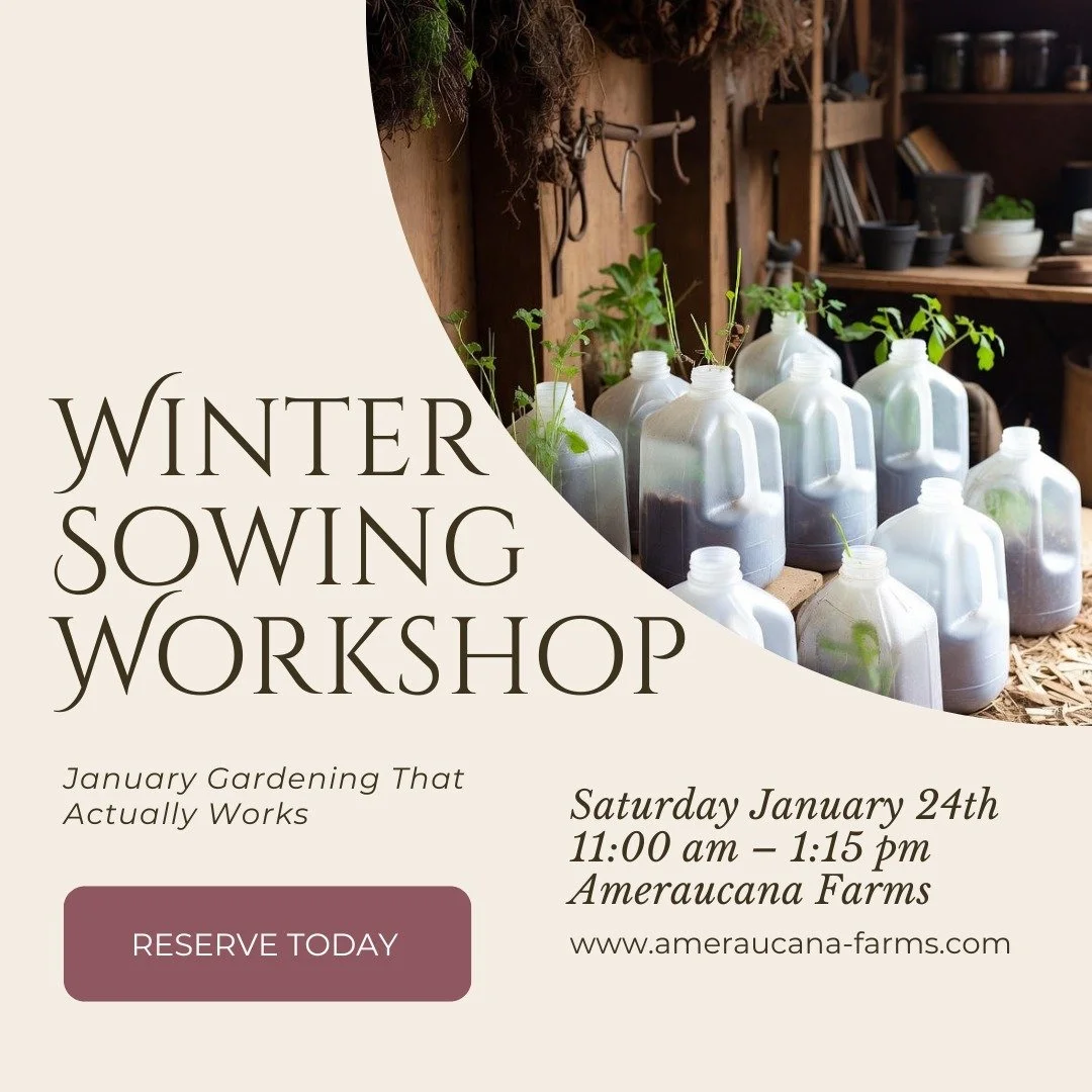 ***Updated Date***

What is Winter Sowing?

Winter sowing is a super-simple, low-maintenance way to start hardy seeds outdoors in the middle of winter using recycled transparent, or translucent containers as mini-greenhouses.

You sow the seeds in wi