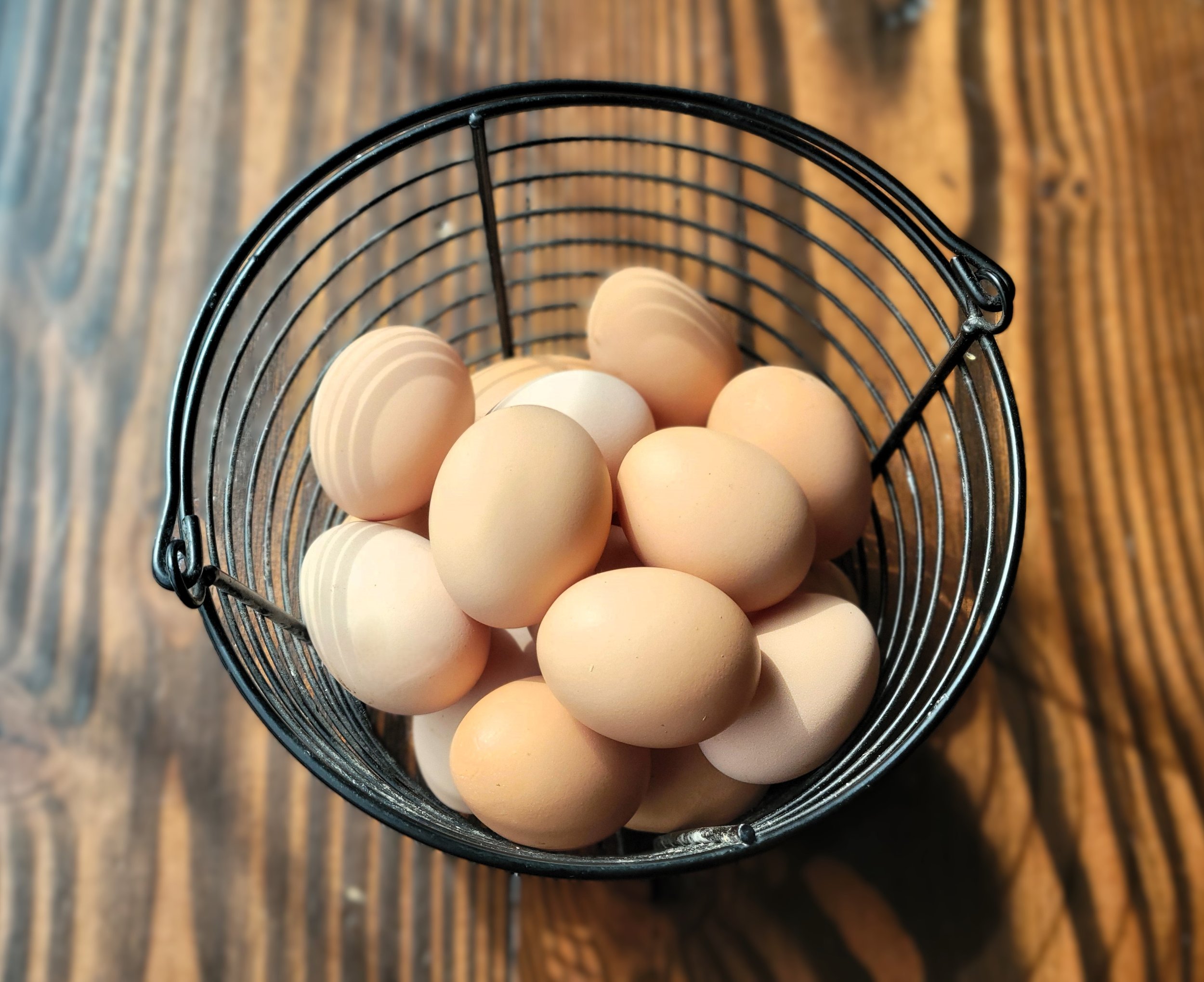 eggs 2.jpg
