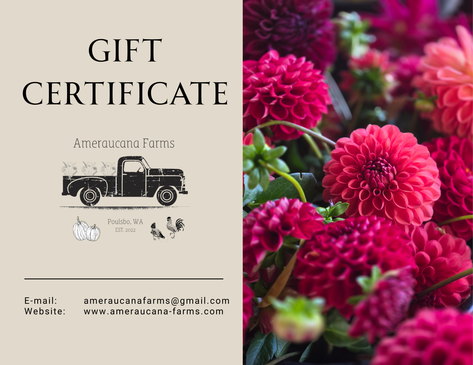 Ameraucana Farms Gift Card
