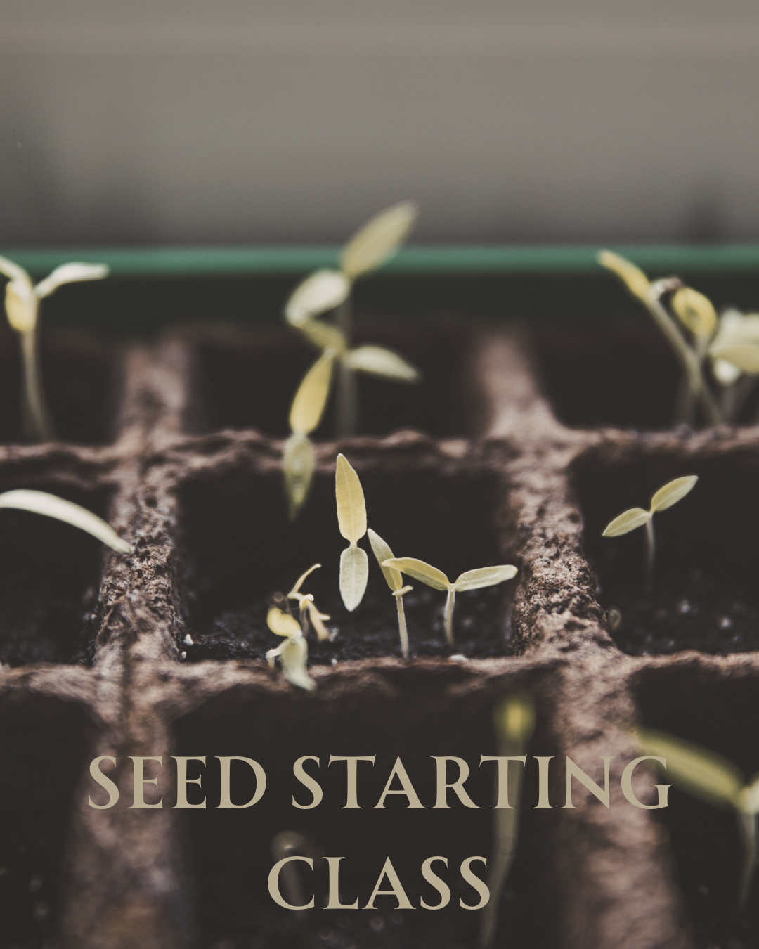 Seed Starting Class.png