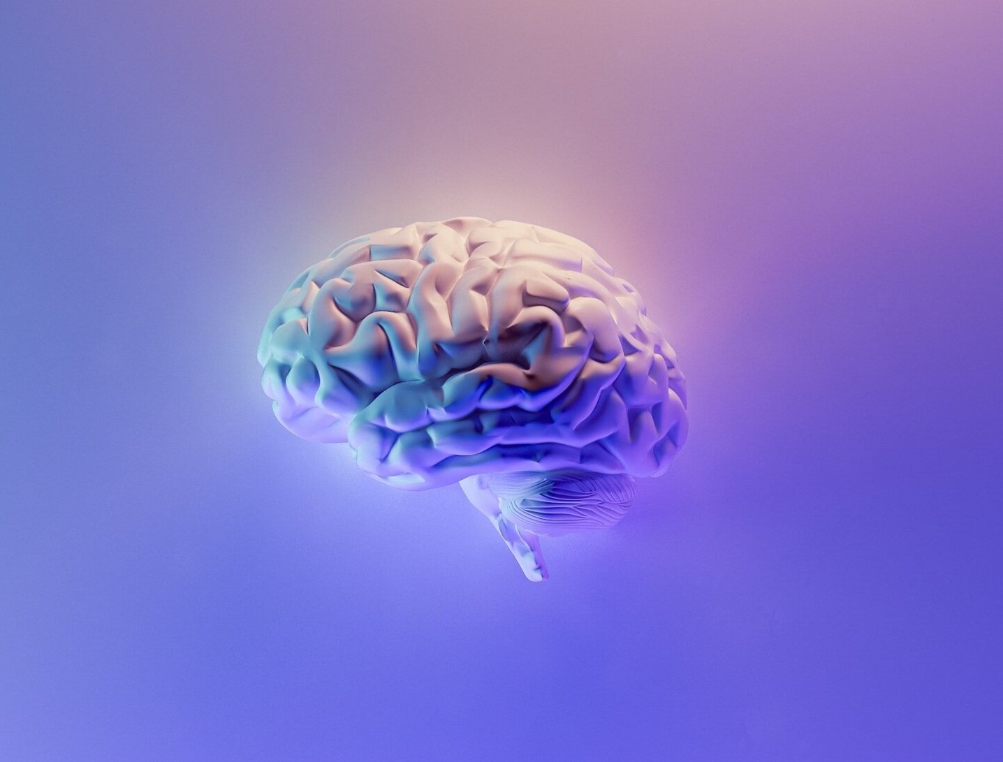How Exercise Transforms Your Brain!