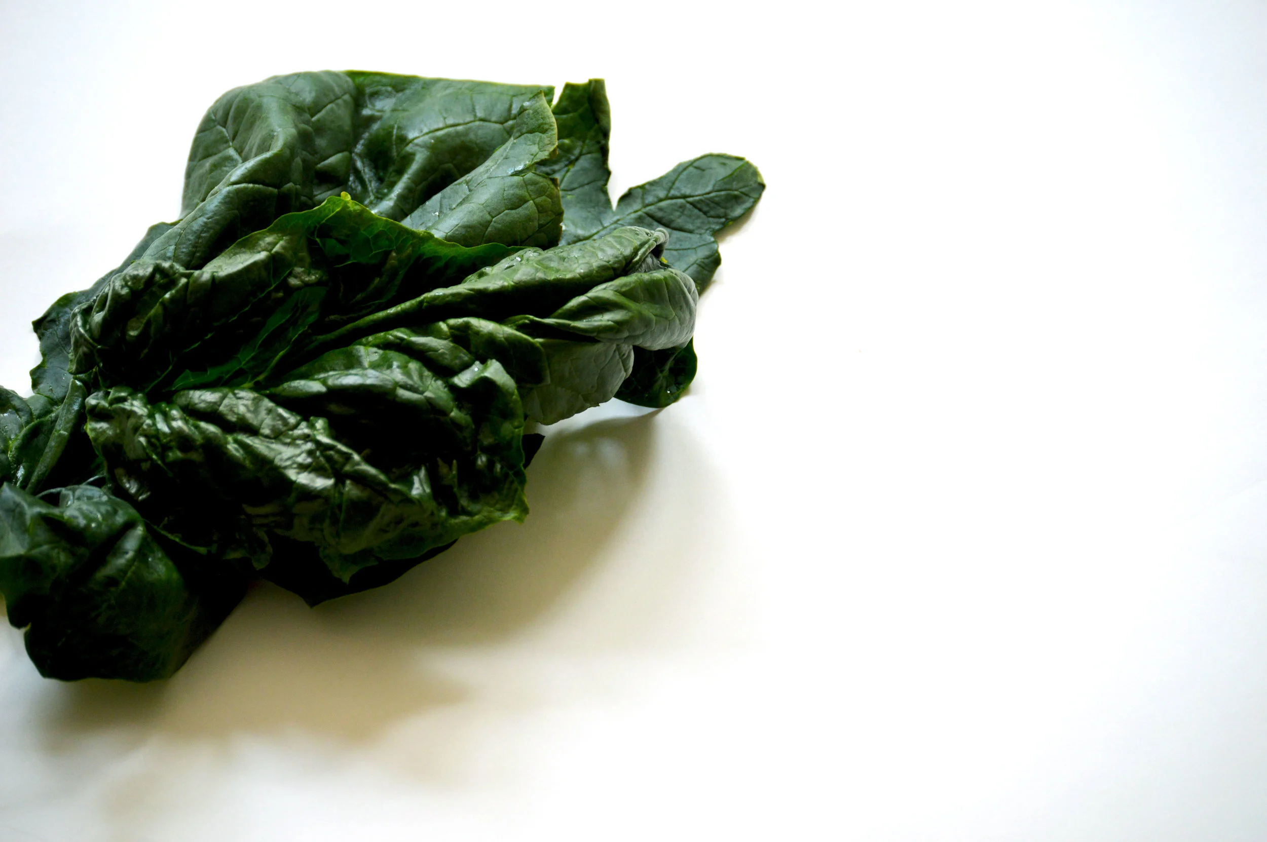 best way to store vegetables in fridge without plastic bolsas