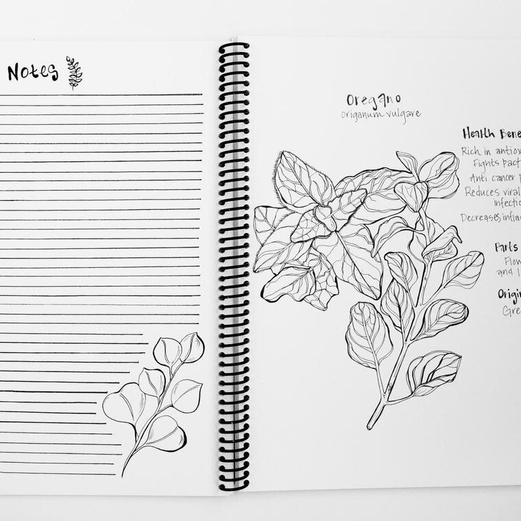 best-coloring-books-for-adults-healing-botanicals-outside.jpg