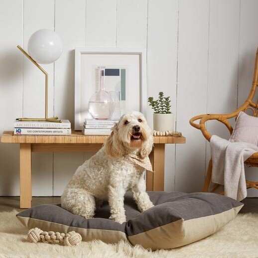 minimalist dog bed