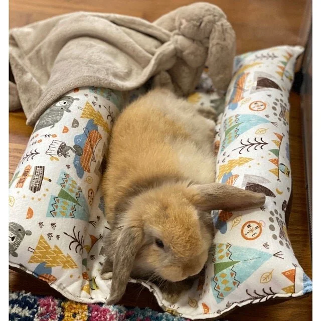 diy bunny bed