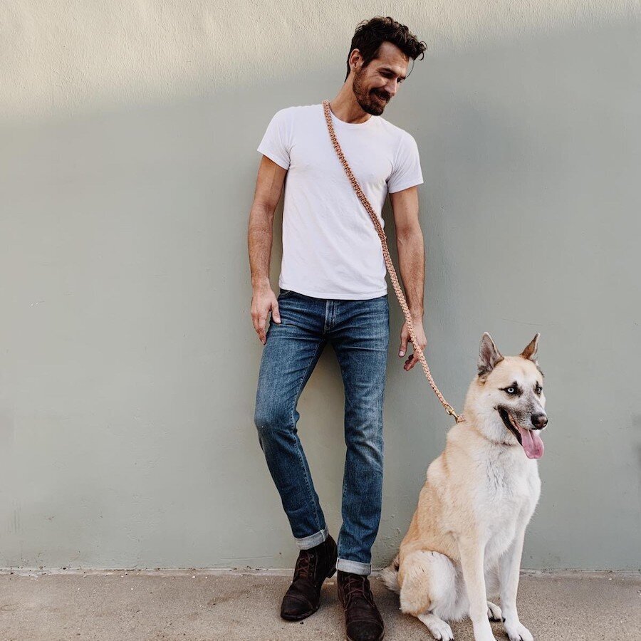 small soft dog crate