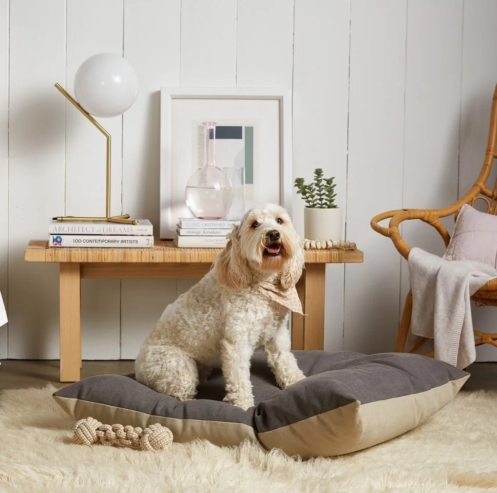 10 EcoFriendly Dog Beds That Are Organic And Supportive — The Good Trade