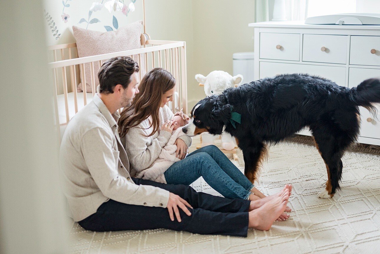 I can't tell you just how many times I get asked if pets can be involved in photos!  I'm thrilled when they get to be involved, our pets are part of the family and add such a fun texture to your family photo experience.  While they won't be the main 