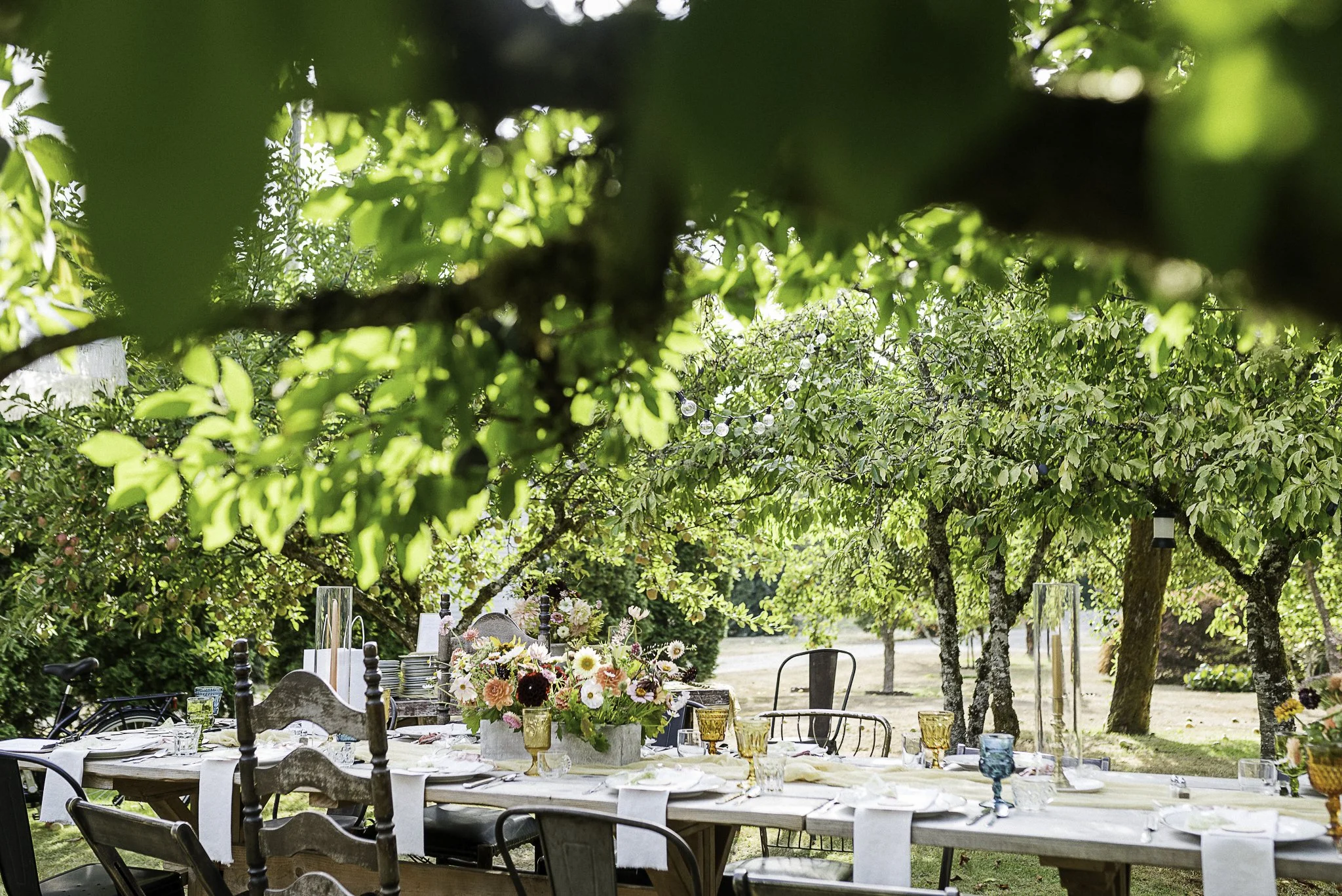 Ciderpress Lane in Bremerton: Freedom Dinners that Make a Difference