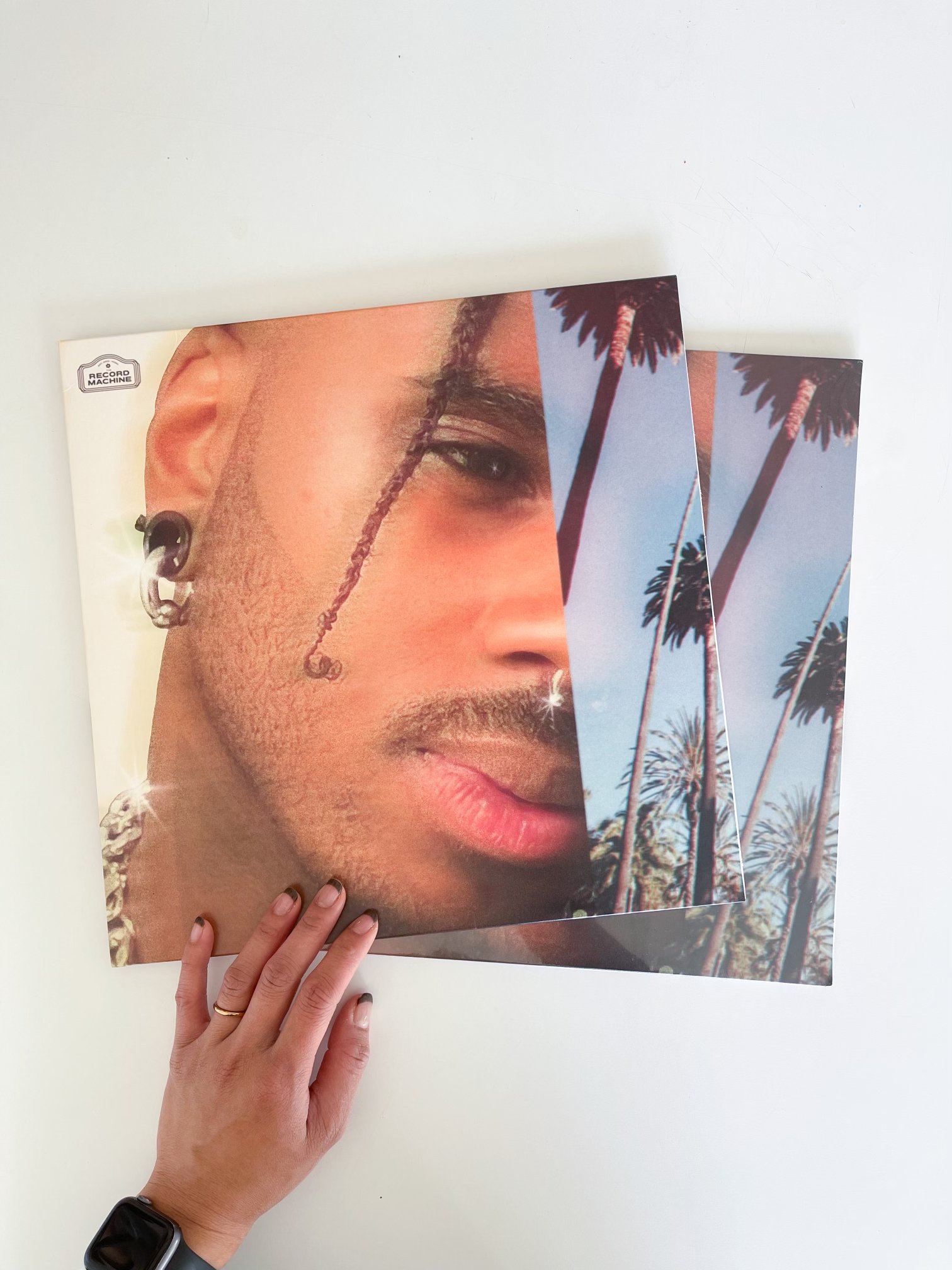 PTSVINYLwebpage.jpg