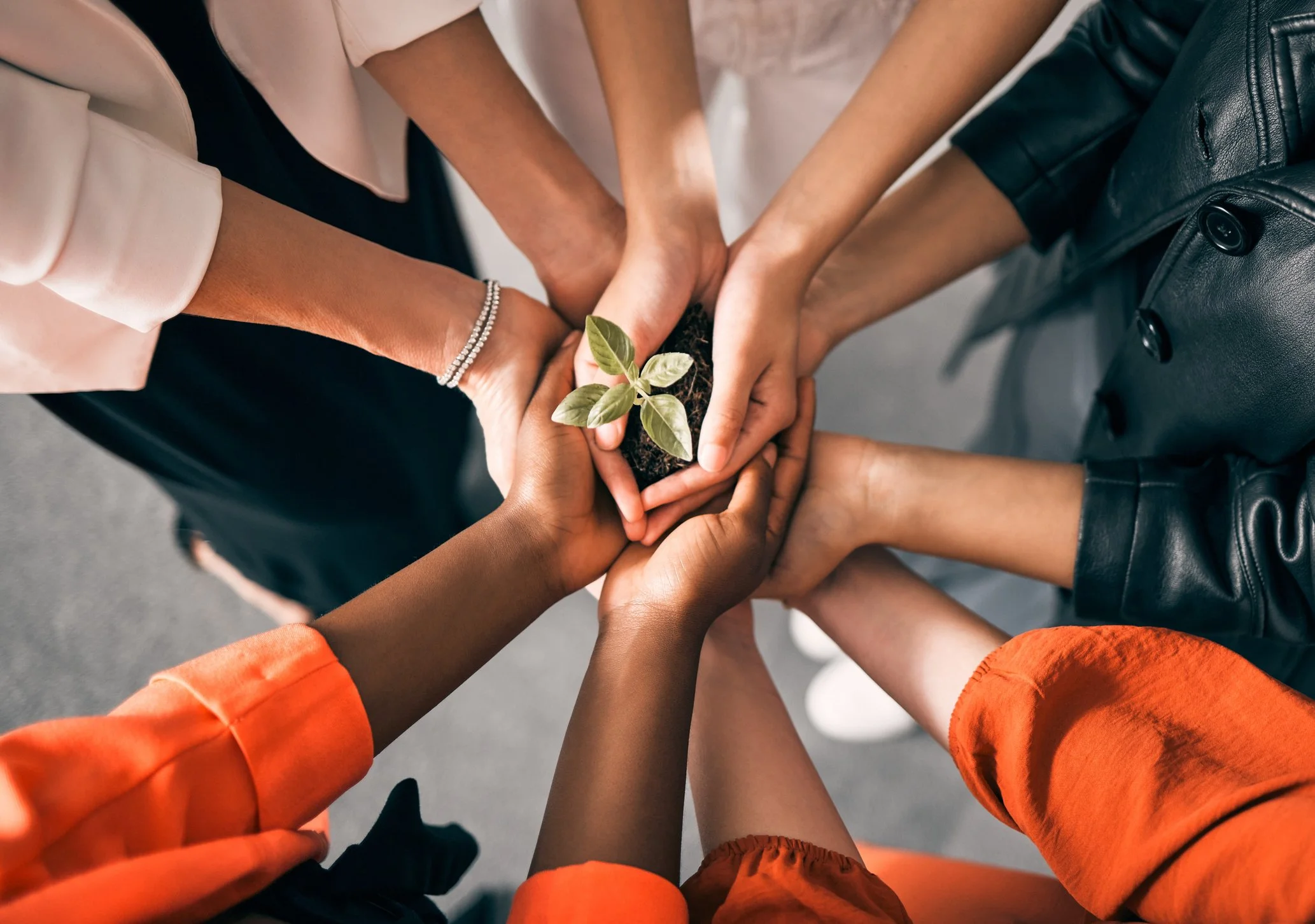 The women brand partners I trust to grow women-led practices
