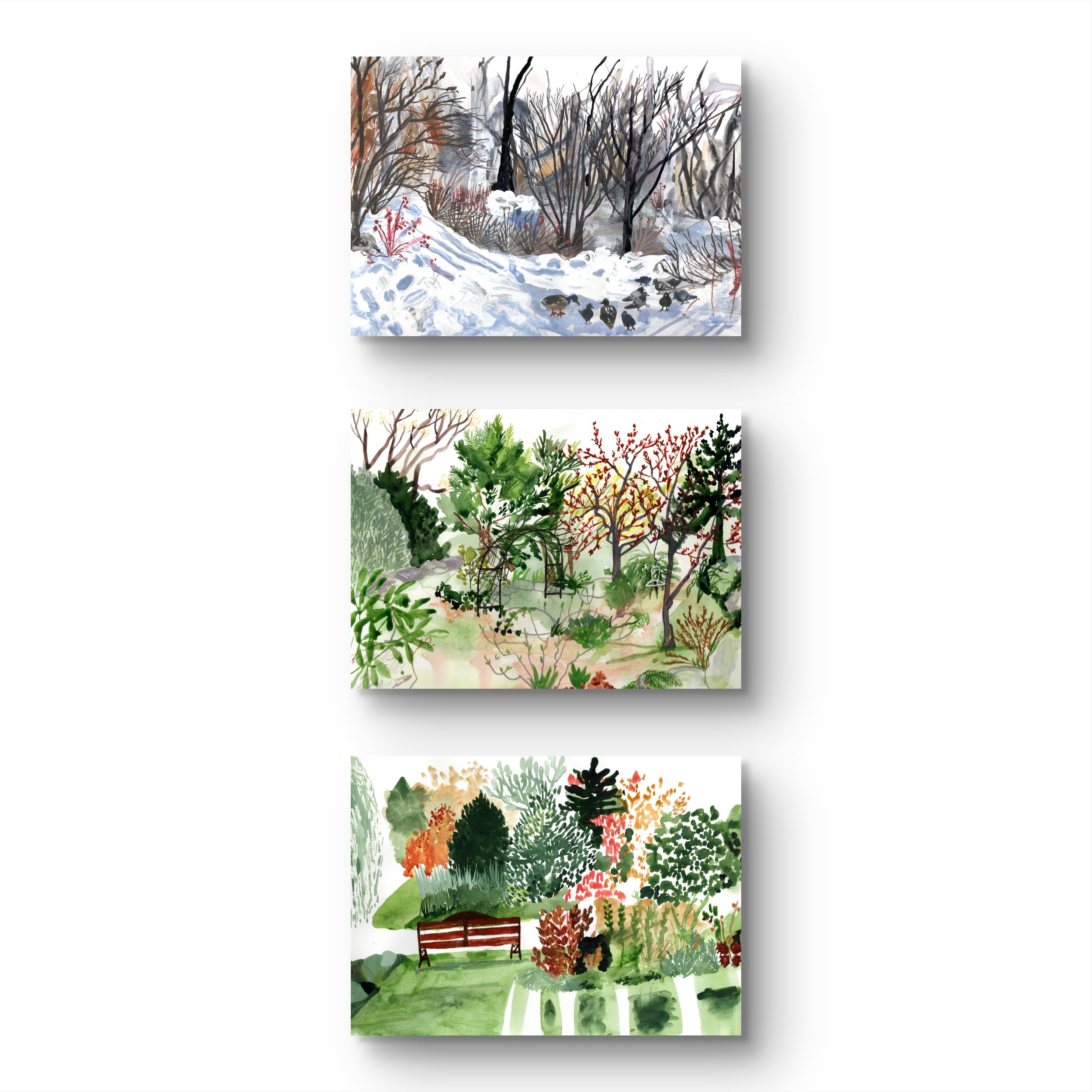 ApoorvaMittalDraws - Postcard Bundle.jpg