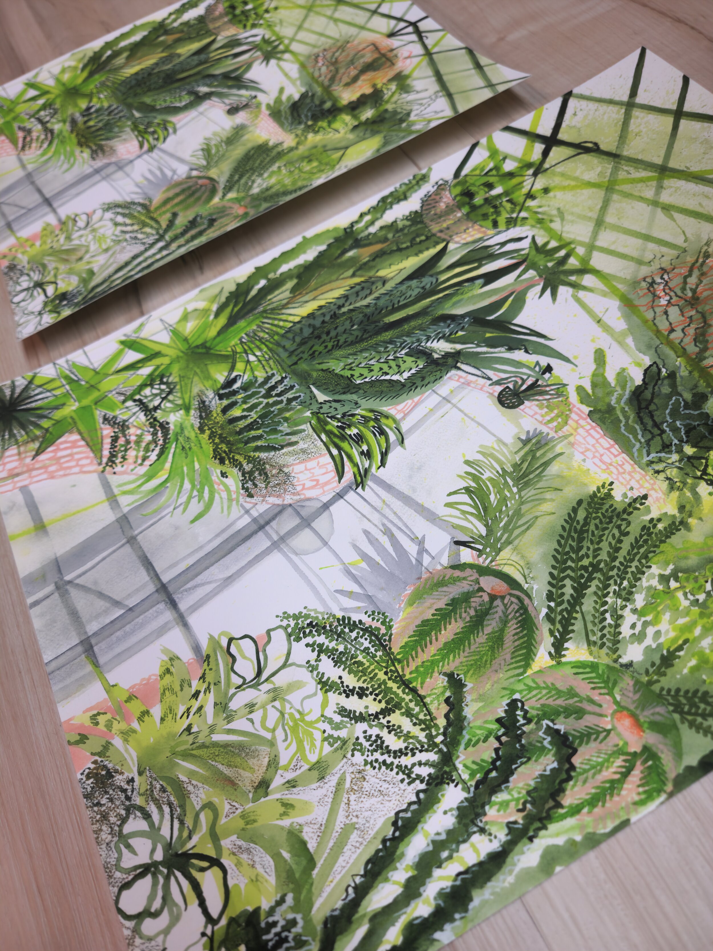 ApoorvaMittalDraws- Succulents of Allan Gardens - PrintShot.jpg