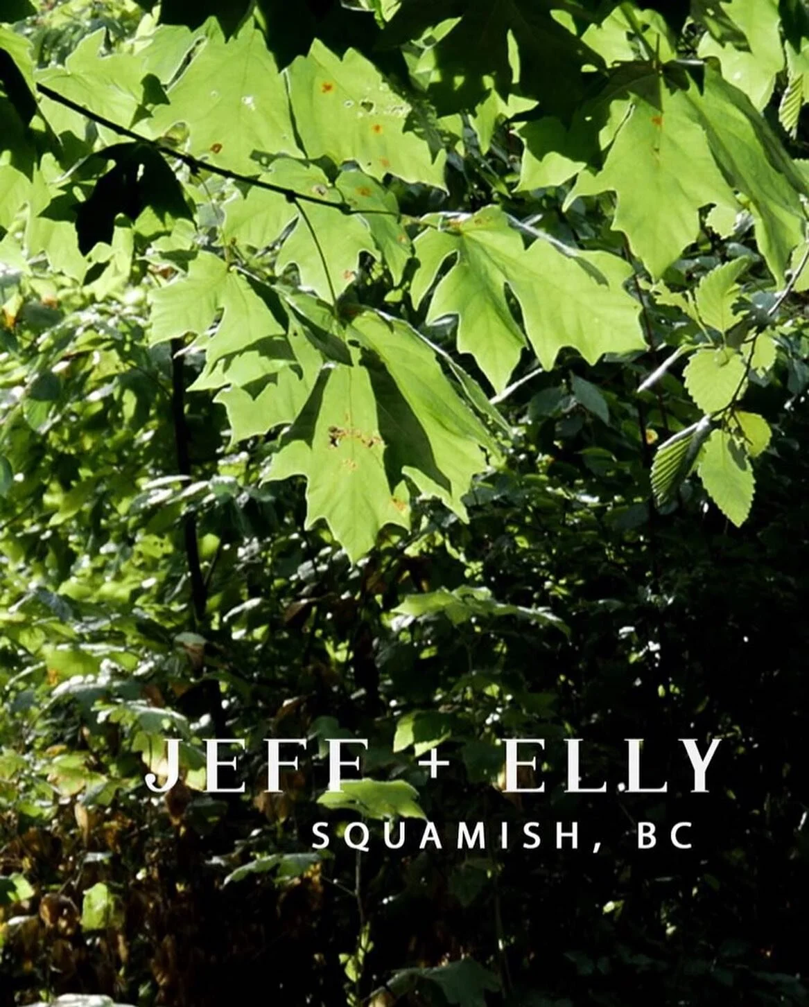 Jeff + Elly // Squamish, BC

The rain stopped just in time for J + E&rsquo;s long awaited fall wedding at Sun Wolf Lodge. Screen grabs from the full wedding film. 

Planner: @filosophi 
Lead planner: @photoblographer 
Photo: @theapartmentphoto 
Venue