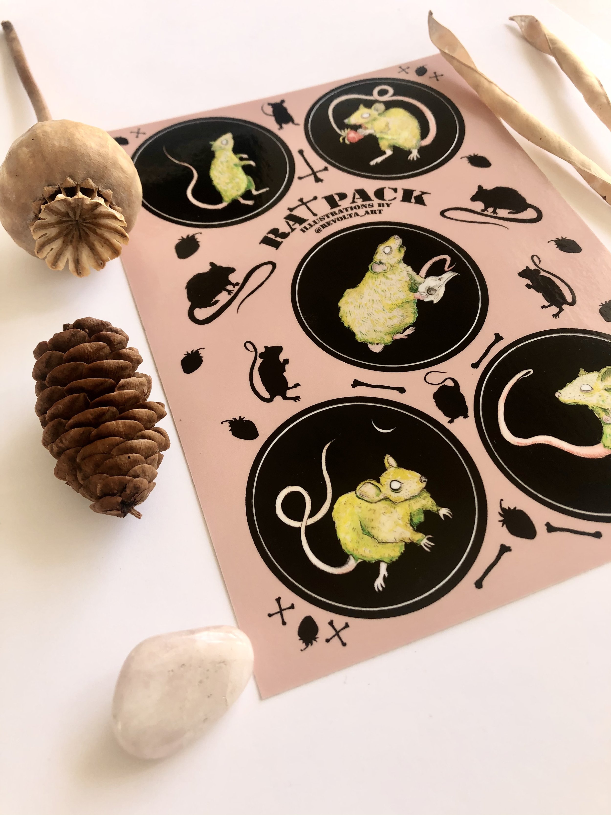 IMG-4327 (2023_07_20 03_32_05 UTC).jpg