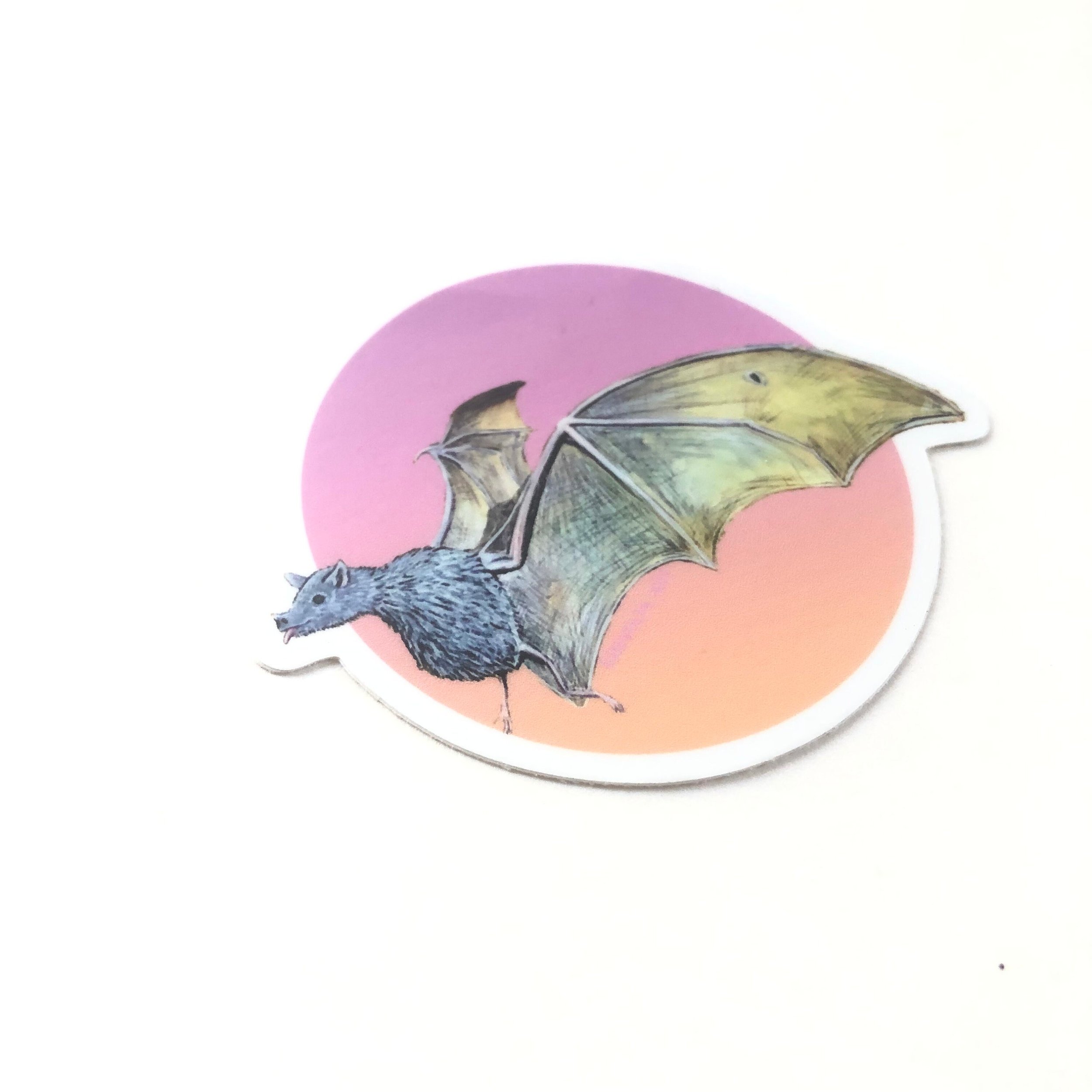 https://i.etsystatic.com/5581176/r/il/bb3e4e/3706813205/il_fullxfull.3706813205_b8yl.jpg