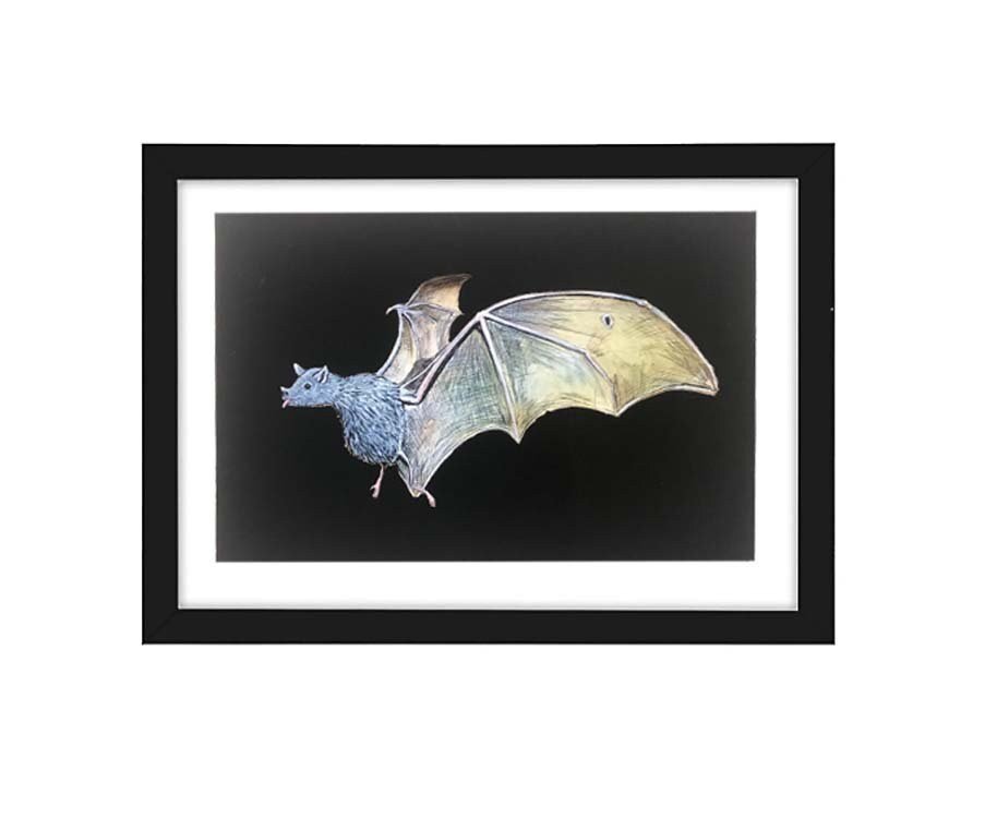https://i.etsystatic.com/5581176/r/il/565769/4009800587/il_fullxfull.4009800587_3k05.jpg