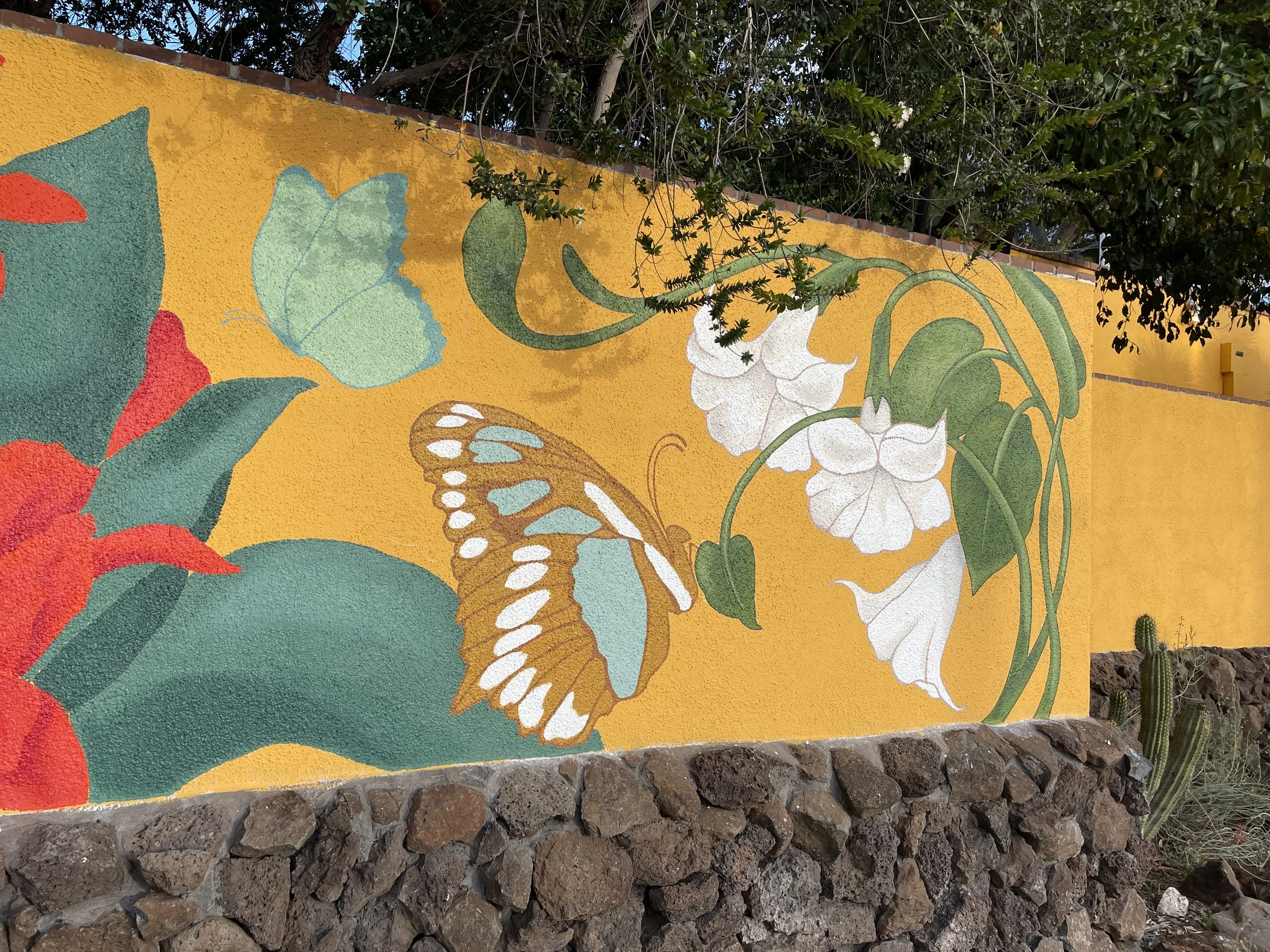 Tucson Botanical Gardens