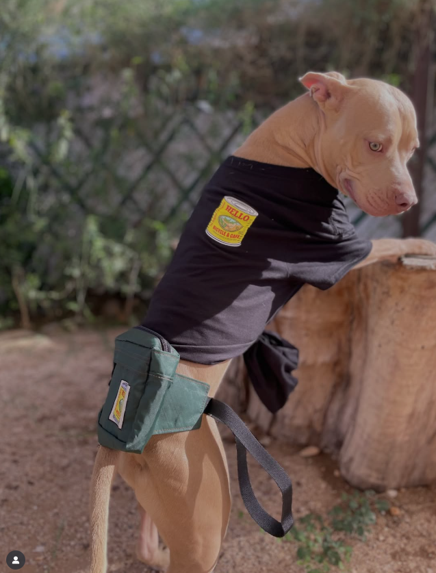 DogMerch.png