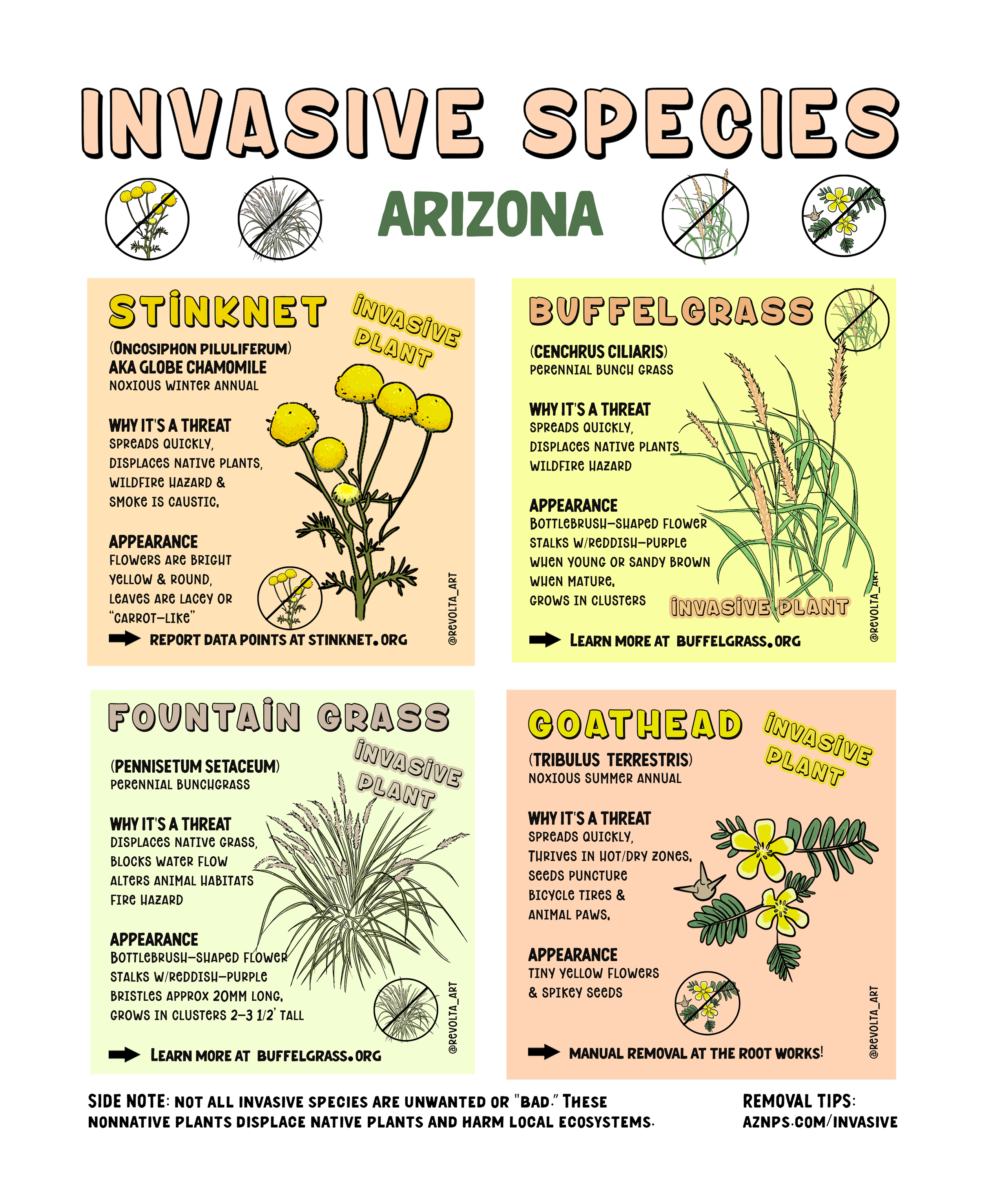 InvasiveArizona 2.png