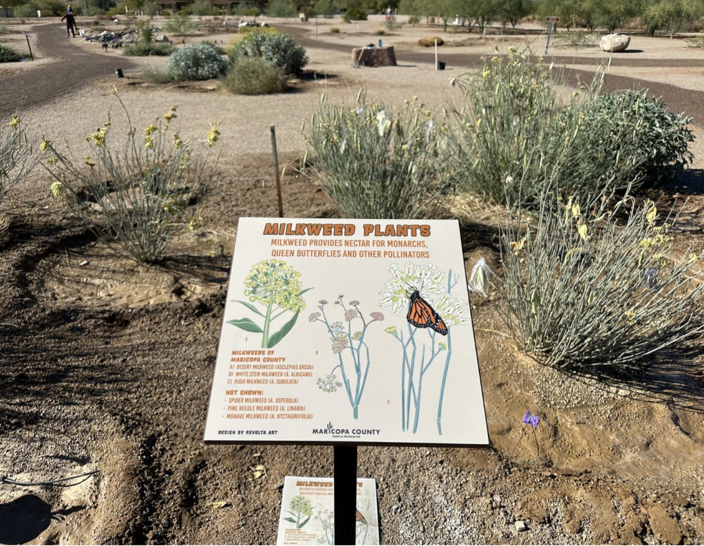 milkweed.png