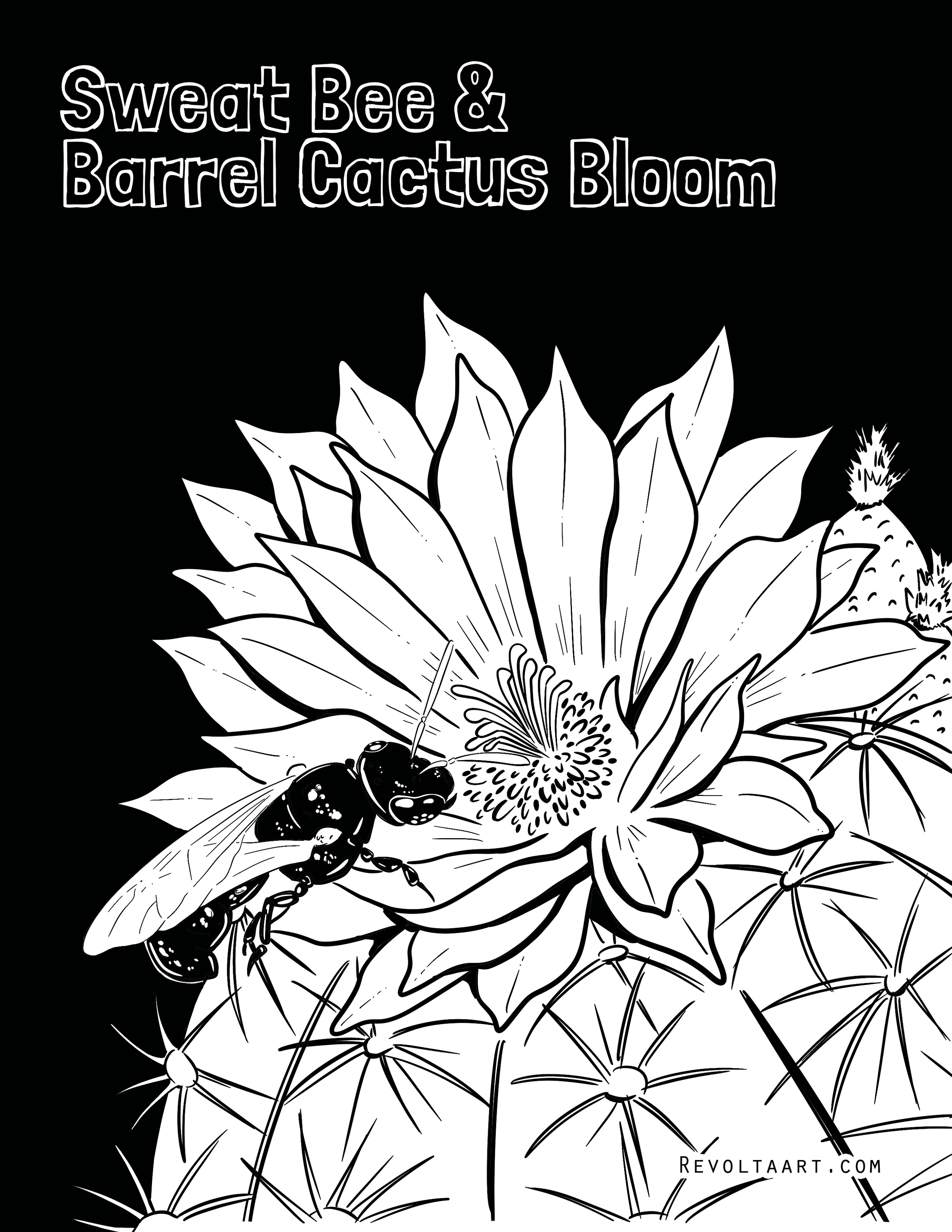 SweatBee&BarrelCactus.png