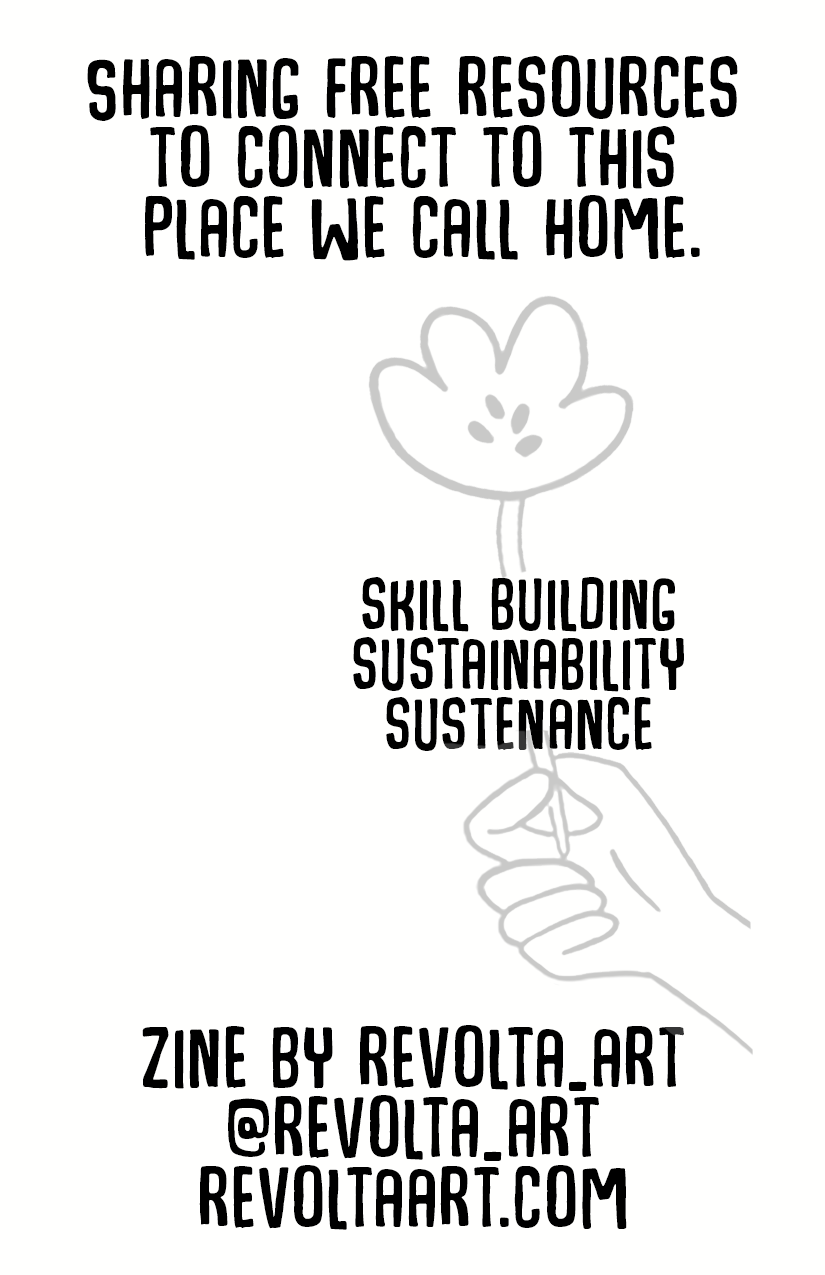 LOCAL8_Back.png