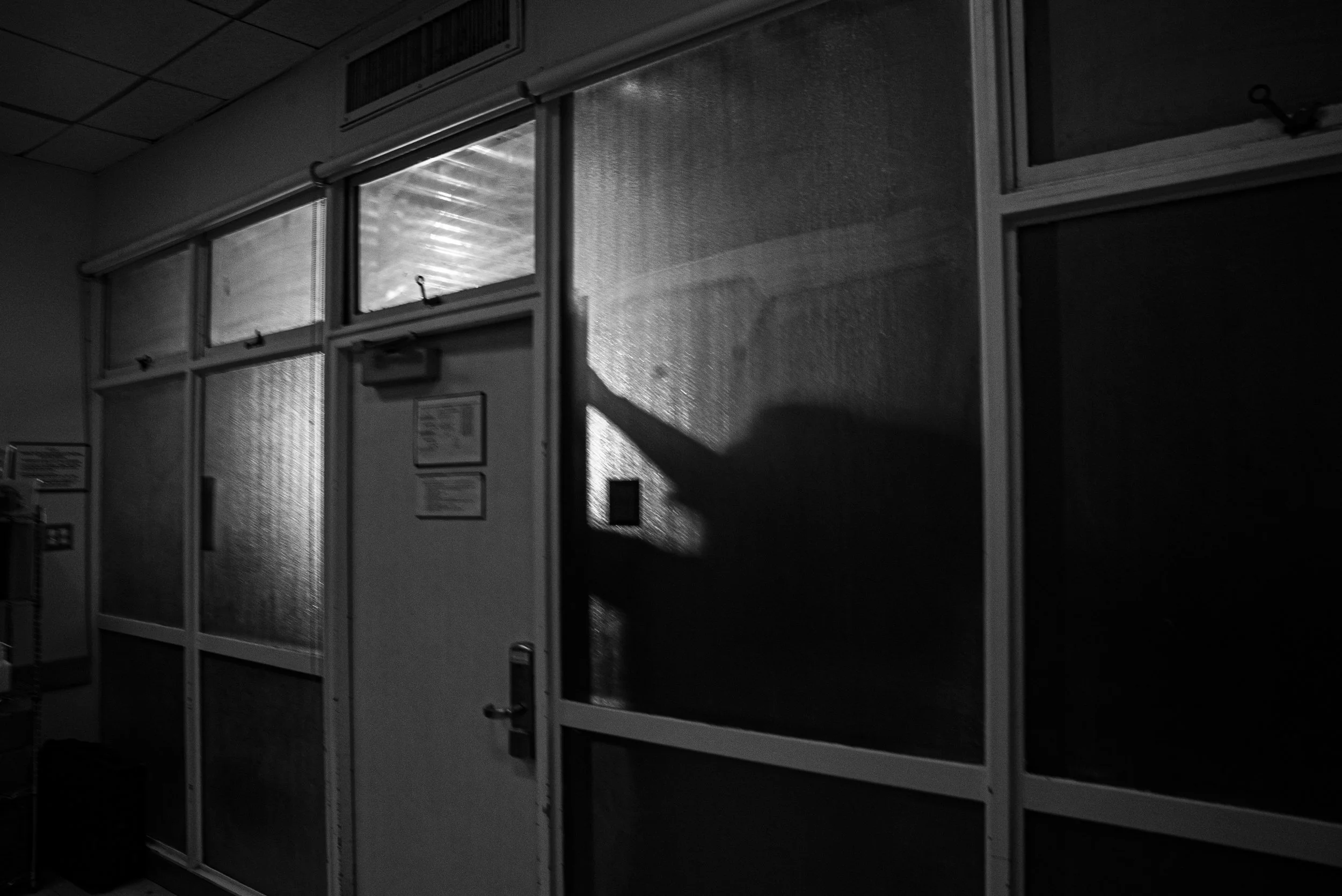 2023-02-05_Thesis_Whenthe ForestBurns_TateHildyard_0001_69.JPG