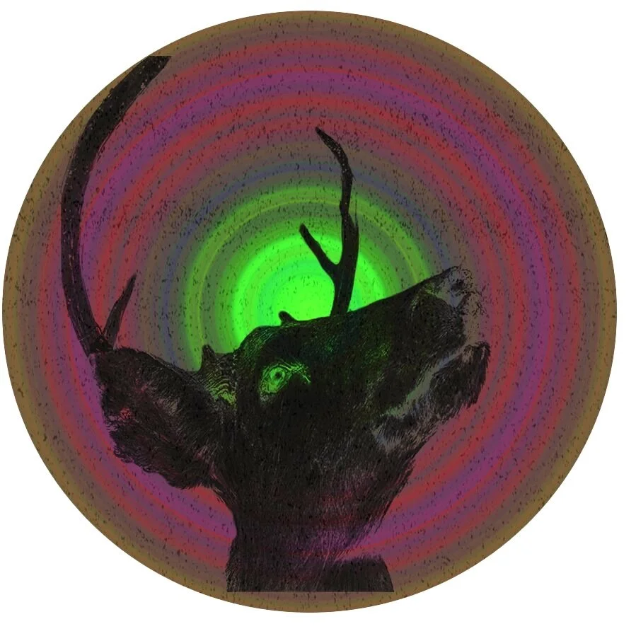 High School English Teacher Job Requirements High School English Teacher Job Requirements