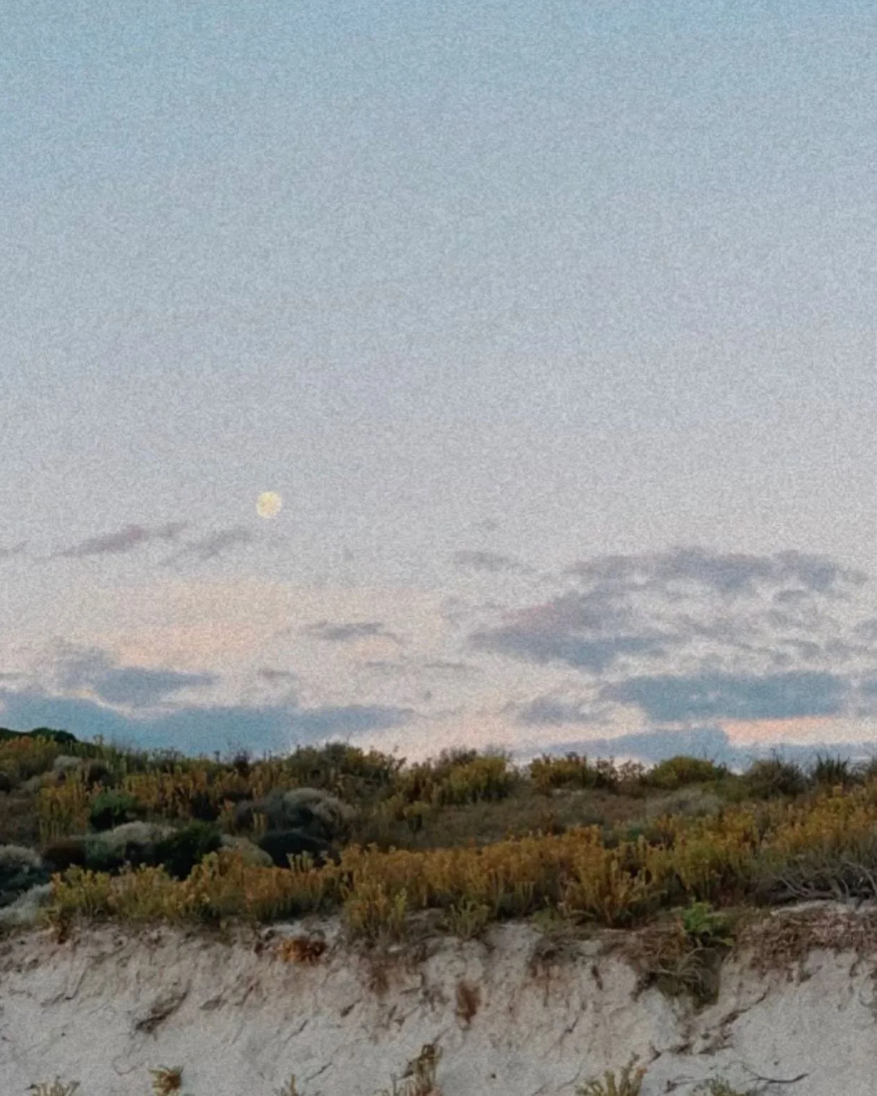 Moonrise over Native Dog Beach 🌝 
The last couple of days have seen a change in the weather- less warm sunny days and more cosy autumn days - but absolutely beautiful as always! Autumn is our favourite time of year here in the bay. What&rsquo;s your