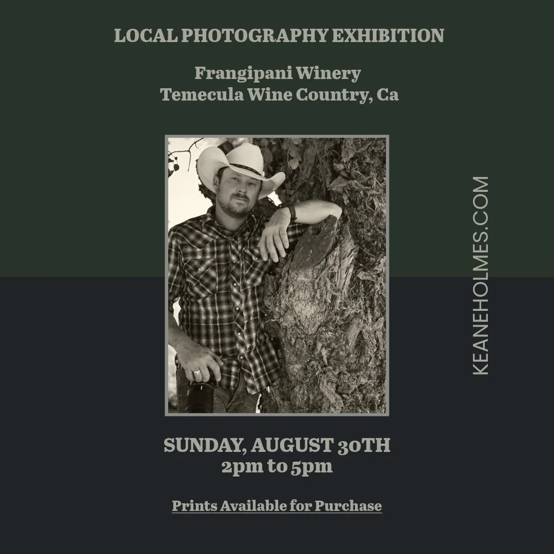Local Photography Exhibition