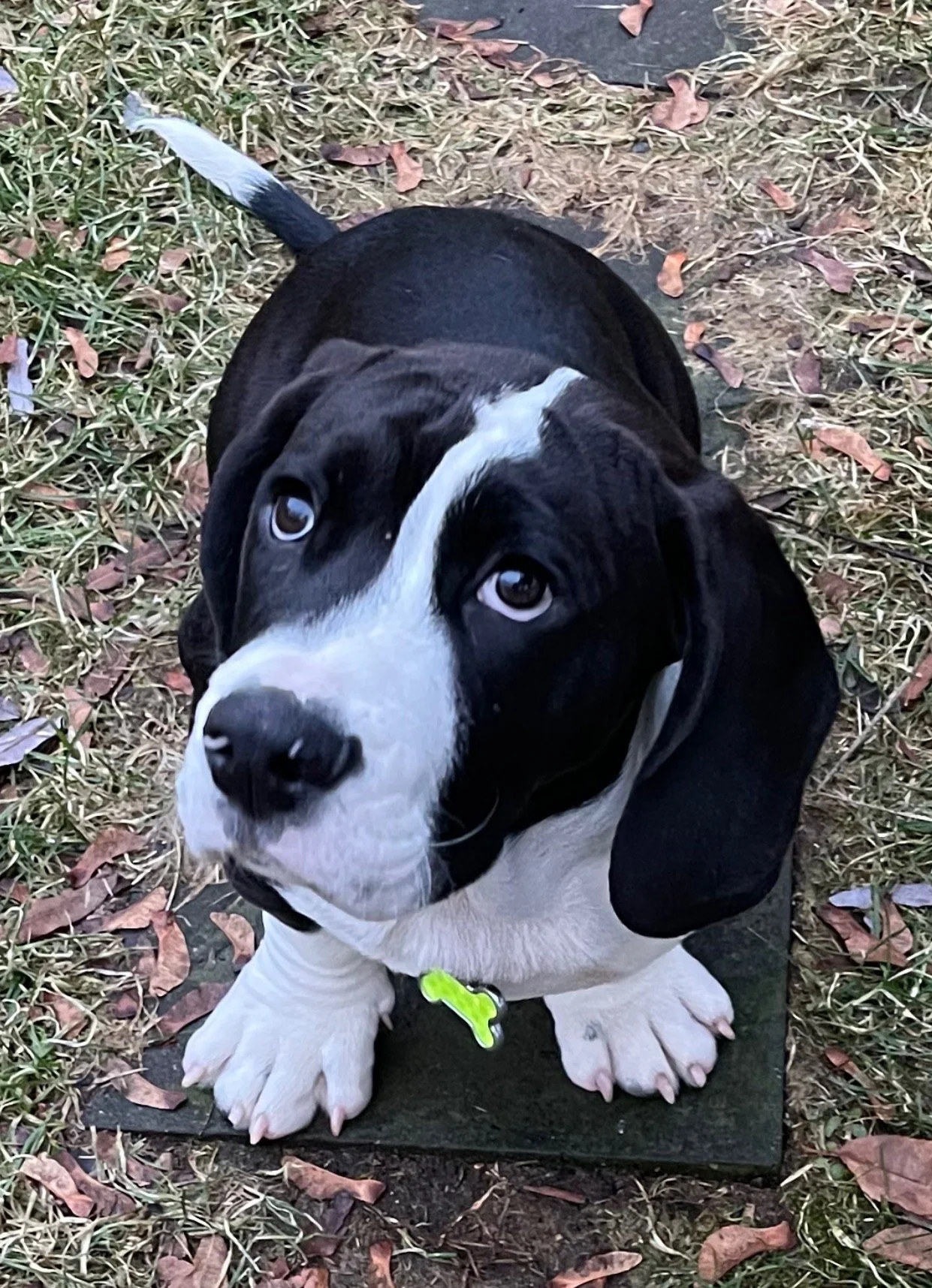 View recent photos.jpeg