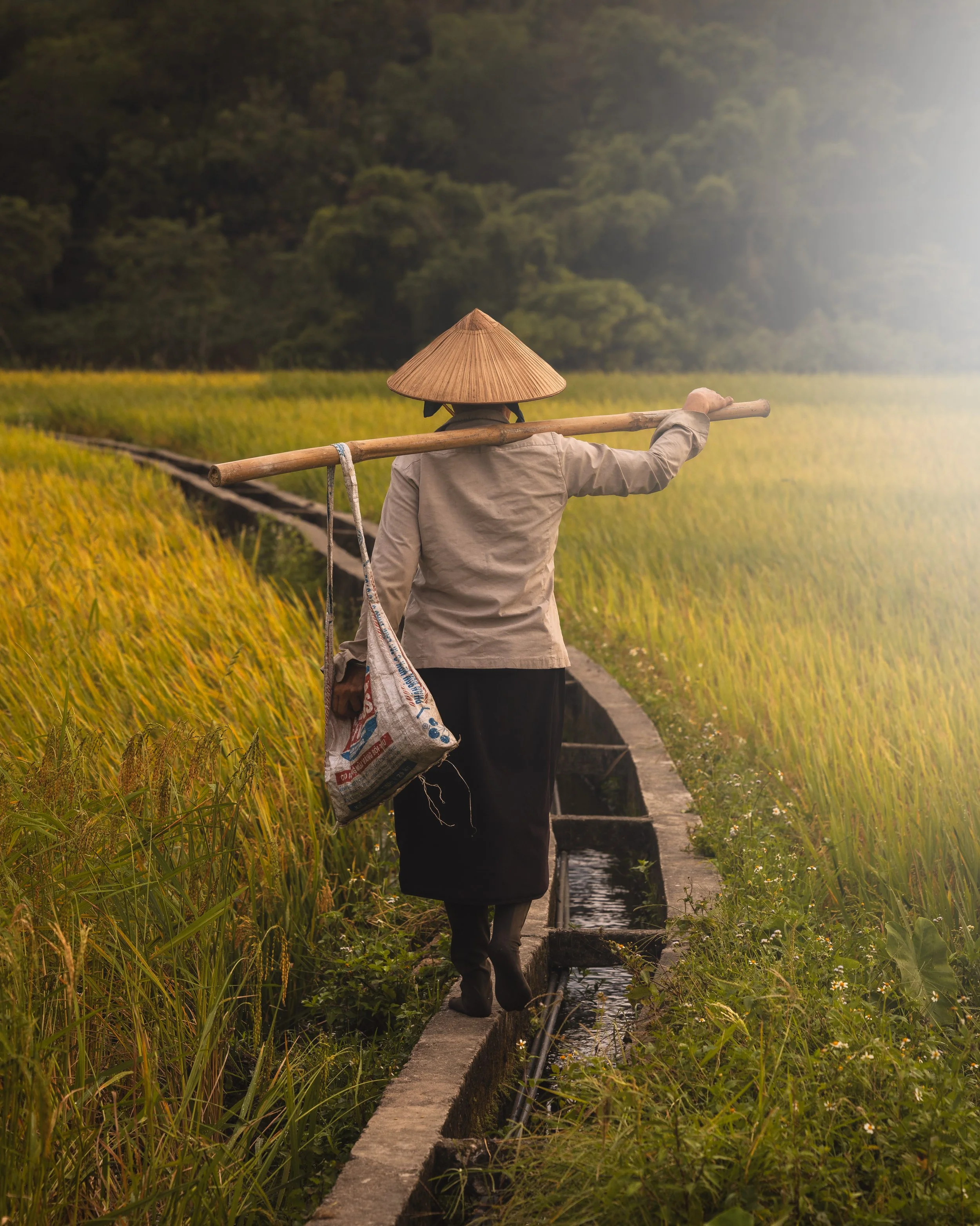 Woman Walking 2.jpg