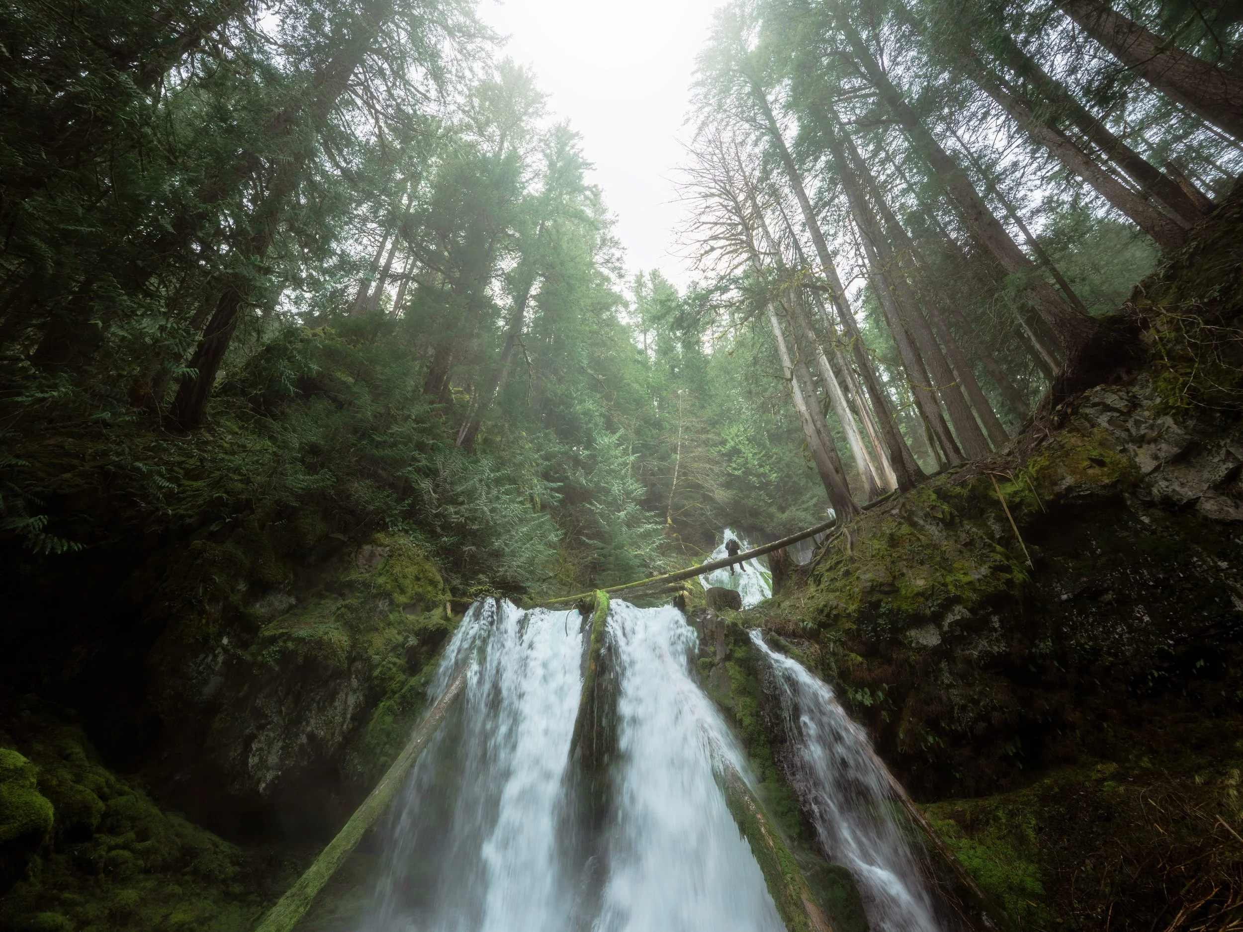 Seat Above the Flow.jpg