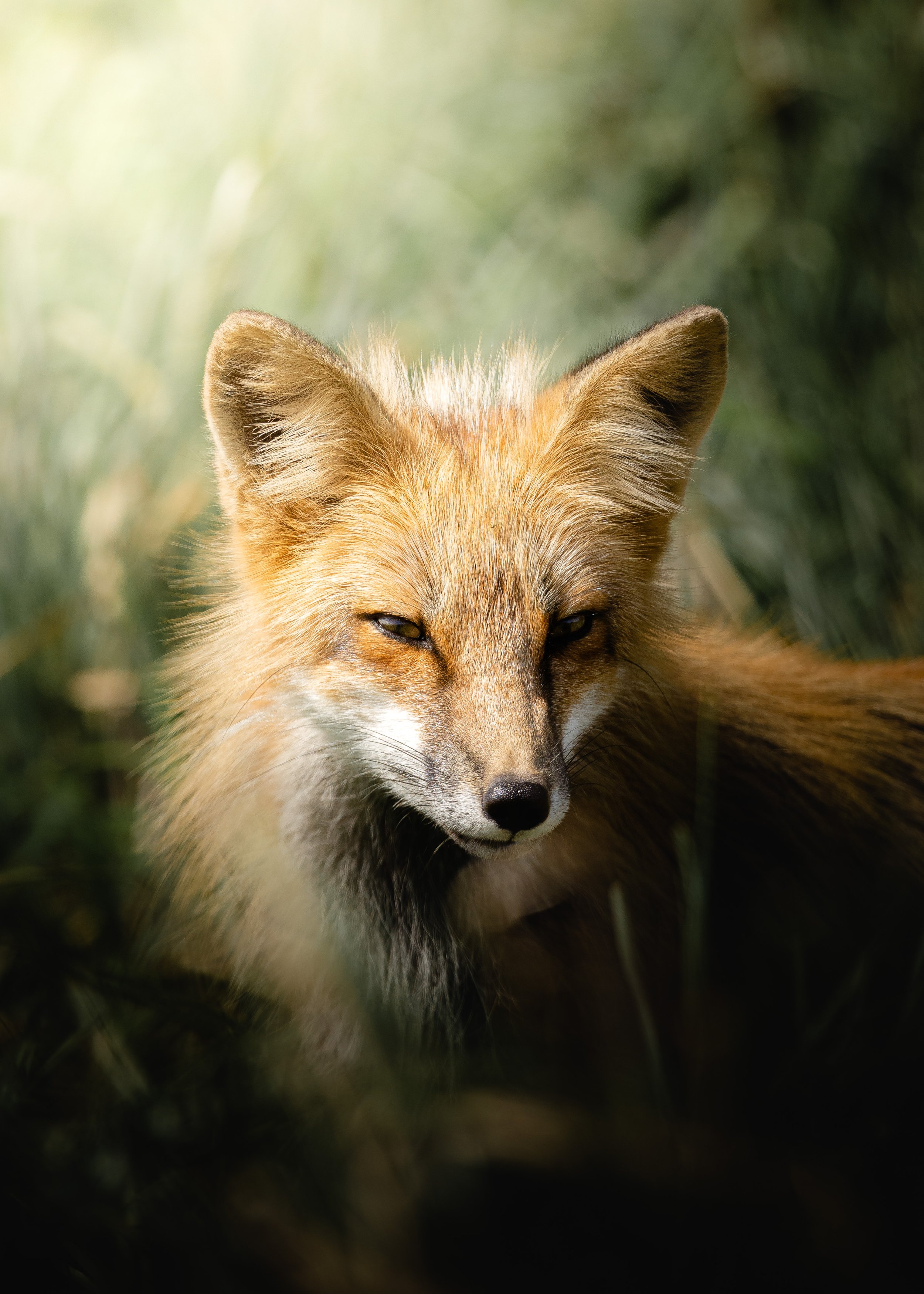 Mom in the Den 1.jpg
