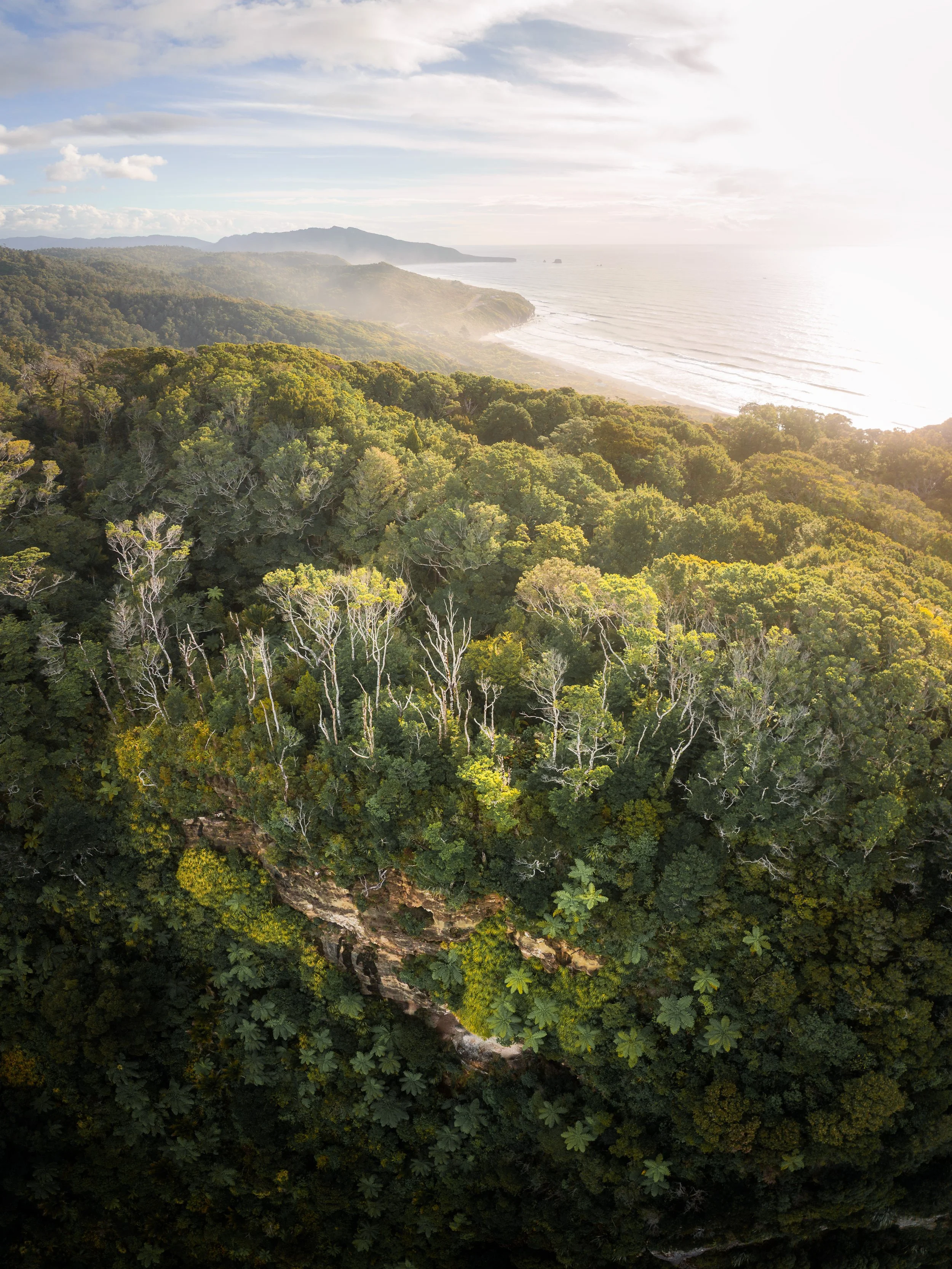 Land Before Time.jpg