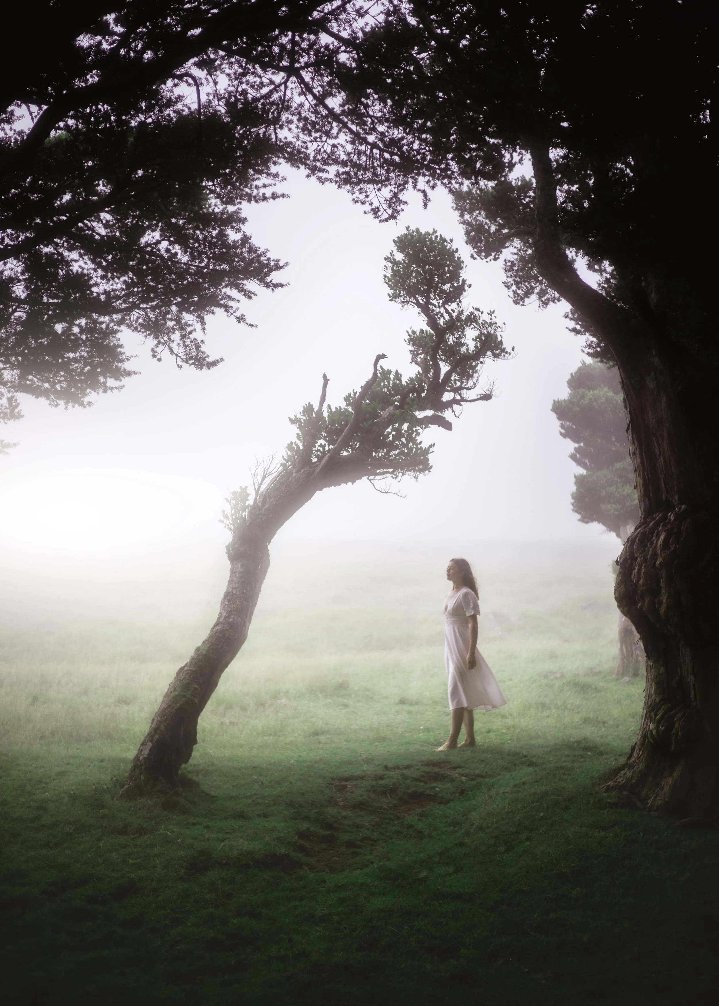 Don't Ignore the Fog.jpg