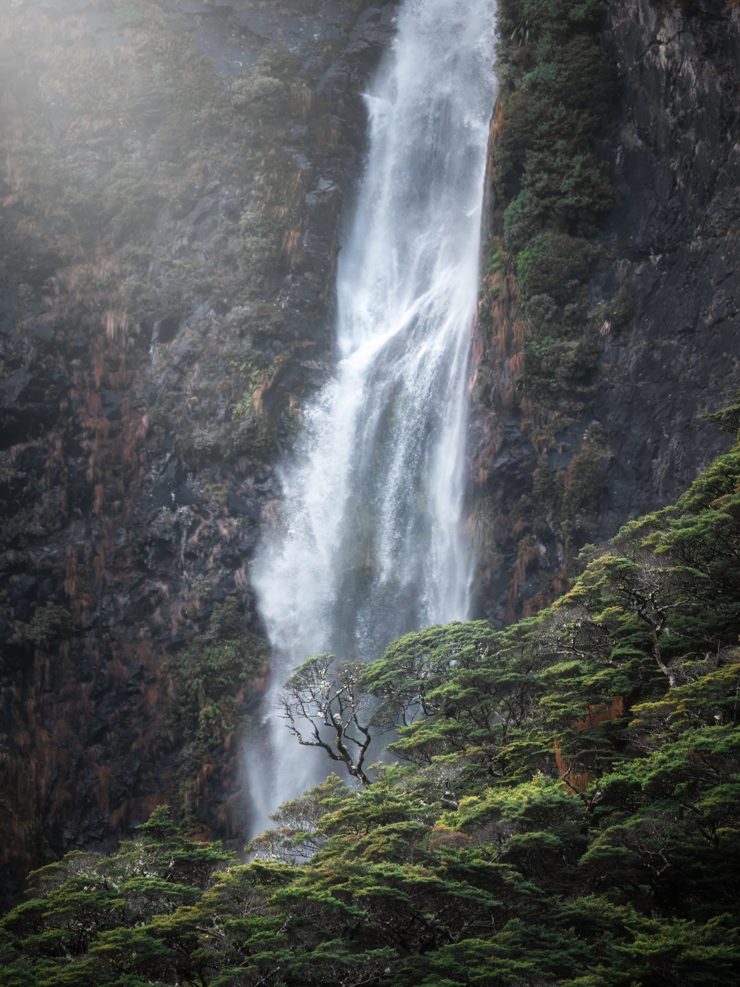 Falls.jpg