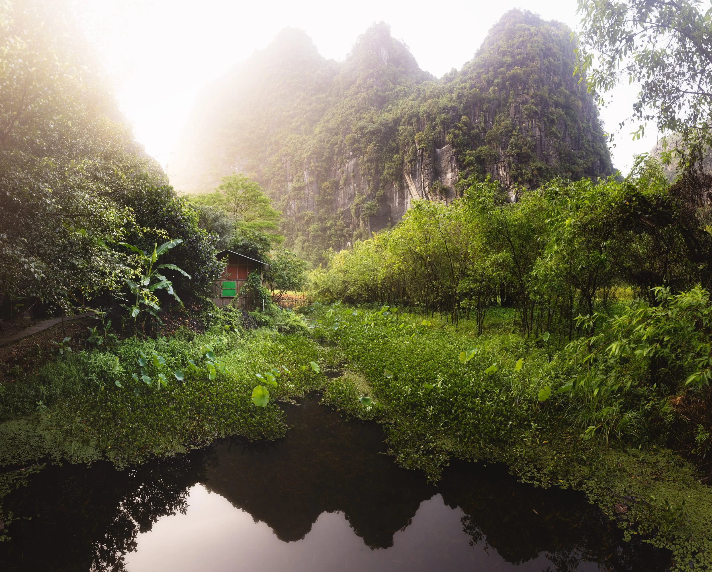 Ninh Binh Under the Morning Sun.jpg