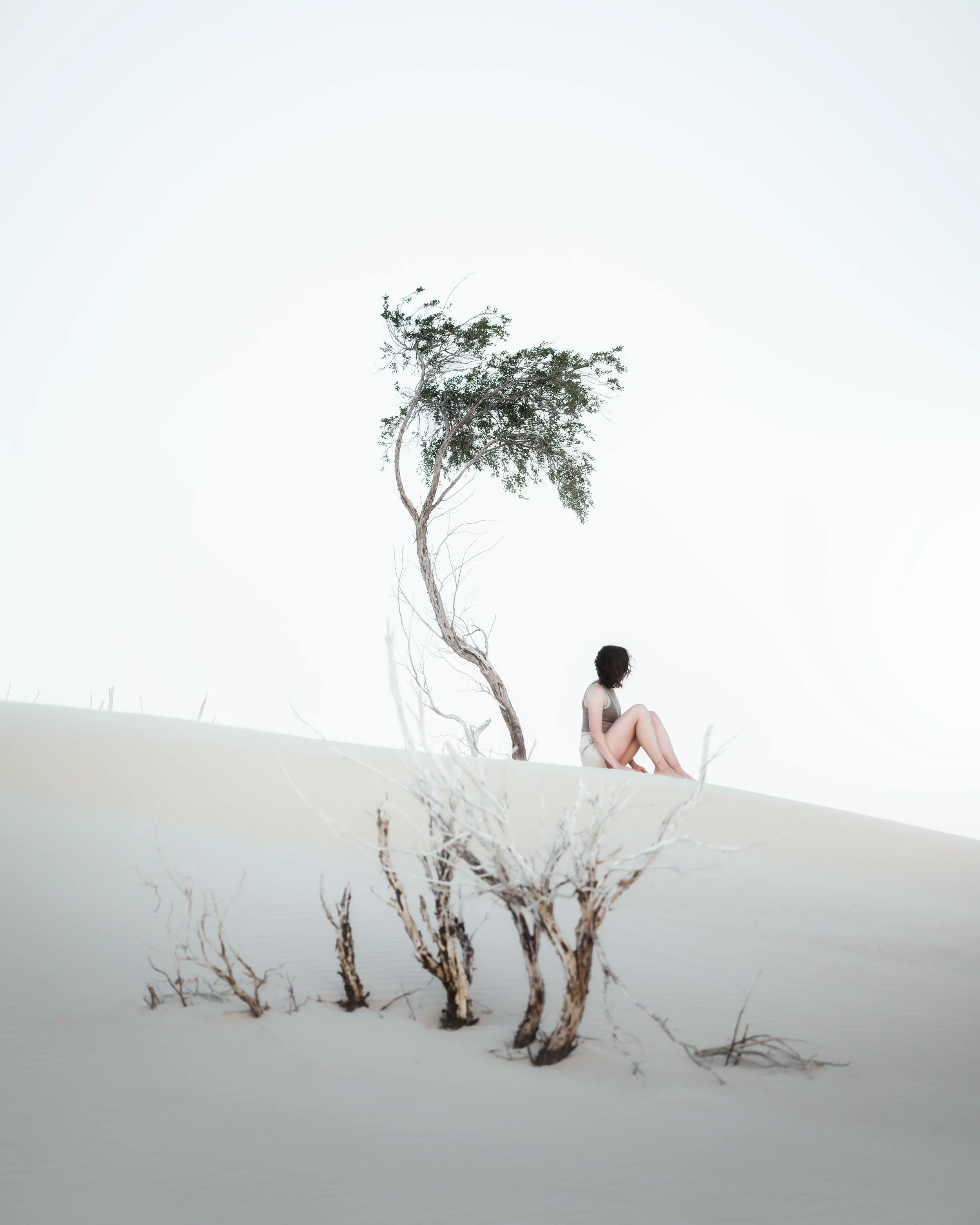 Under the Arid Tree.jpg