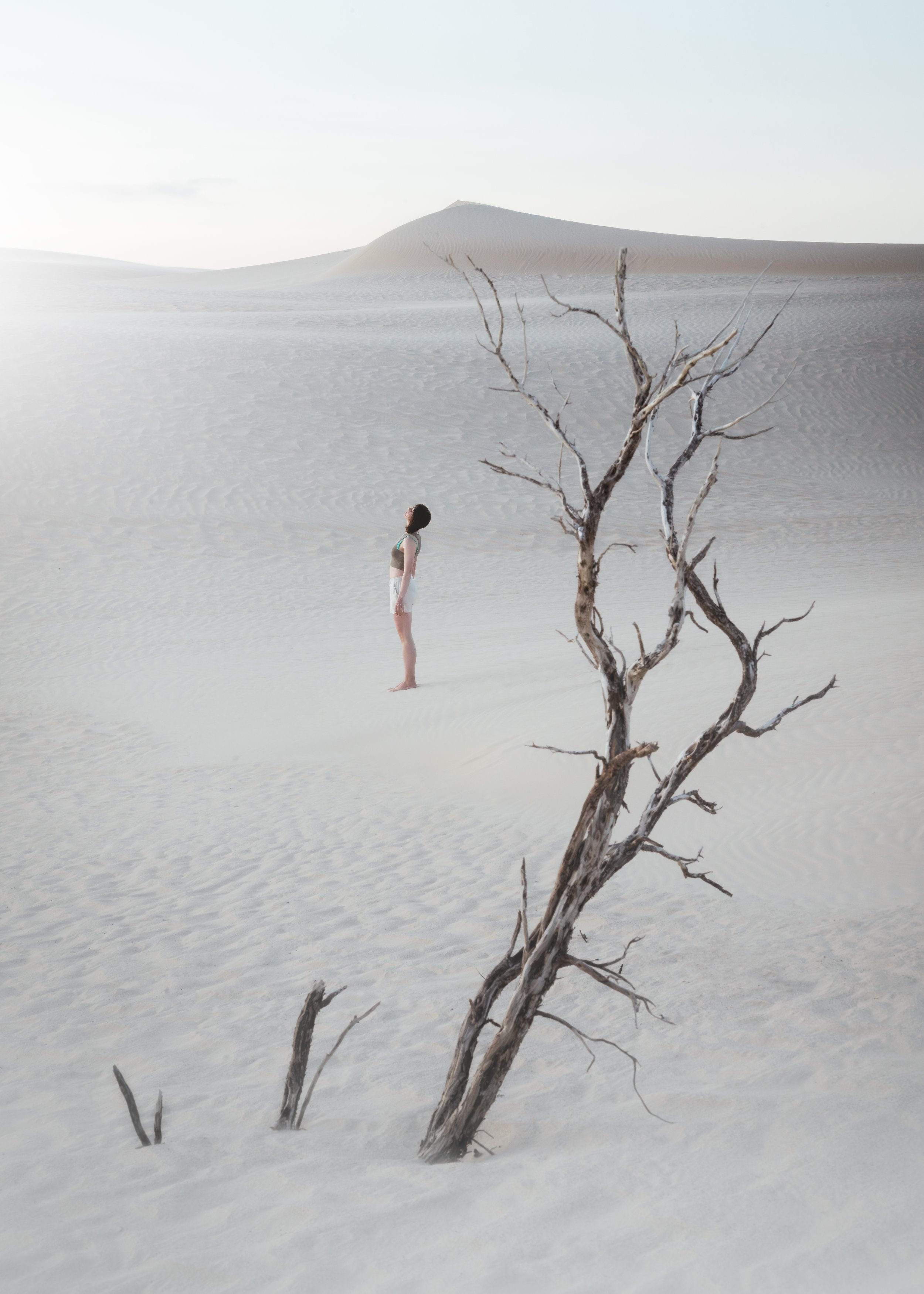 Walk Until The Day Is Gone.jpg