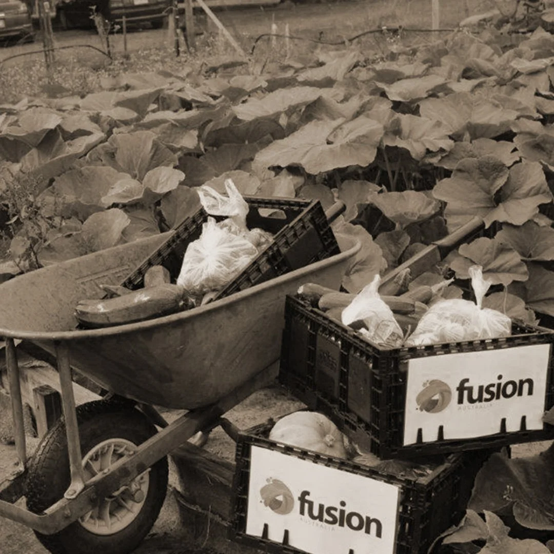 BGB24.fusion.image-wash.jpg