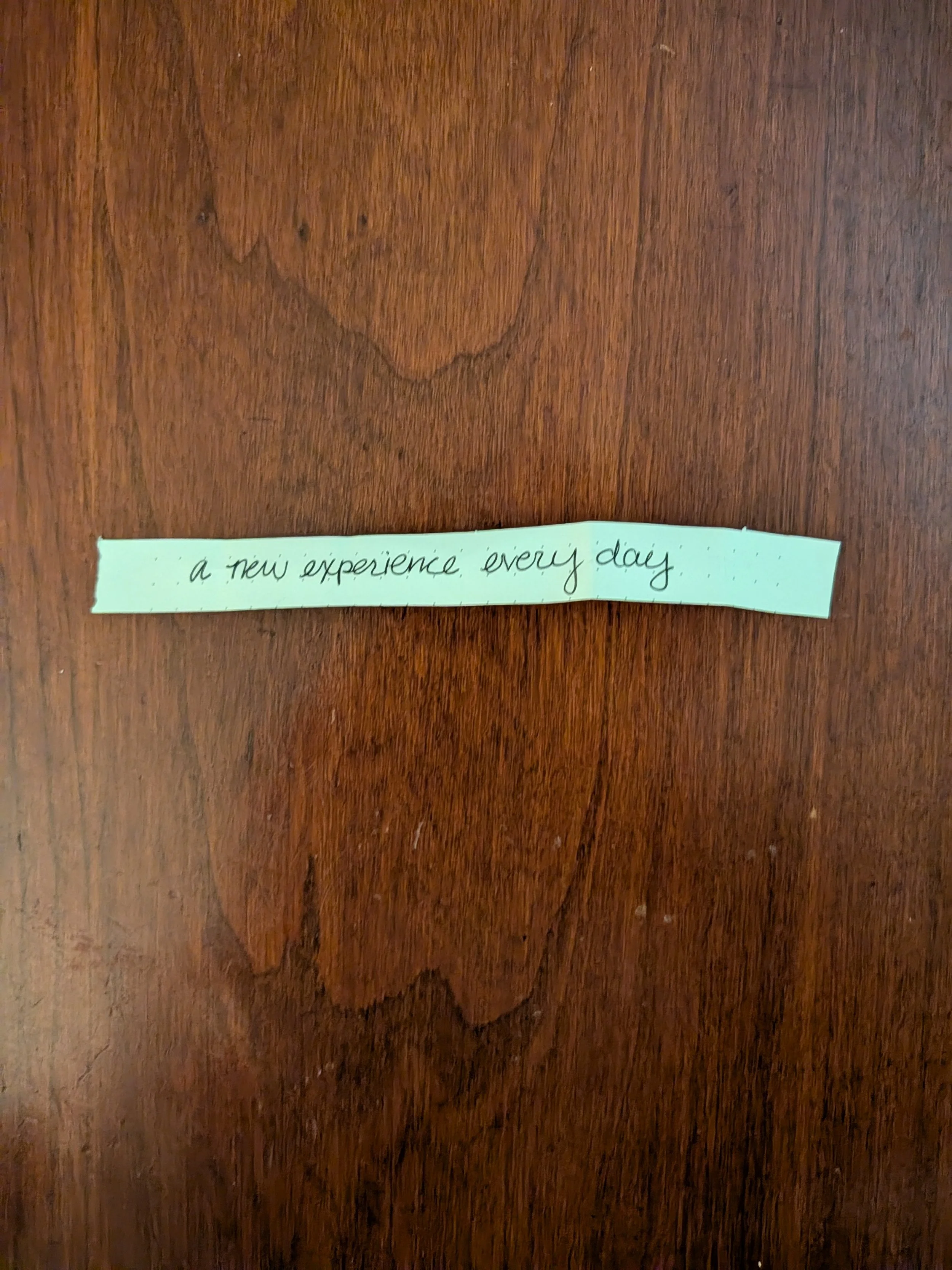 A new experience every day